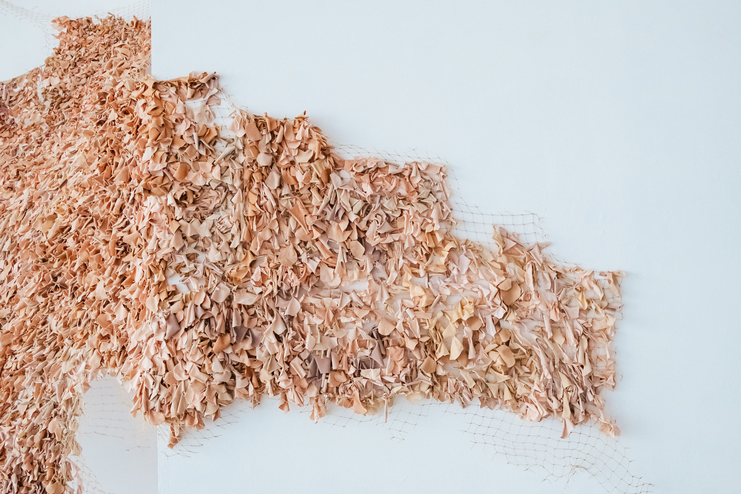 Azyl. Maria Węsławska-Gribina