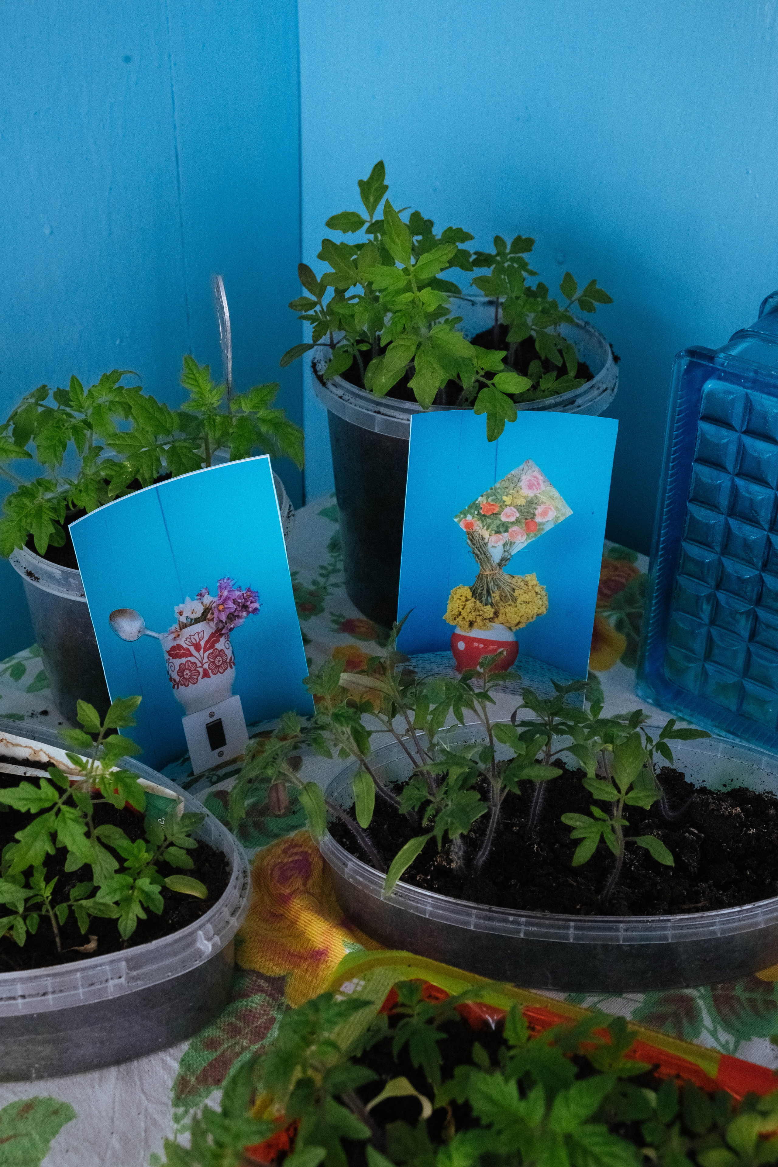 Documentation of the exhibition. 