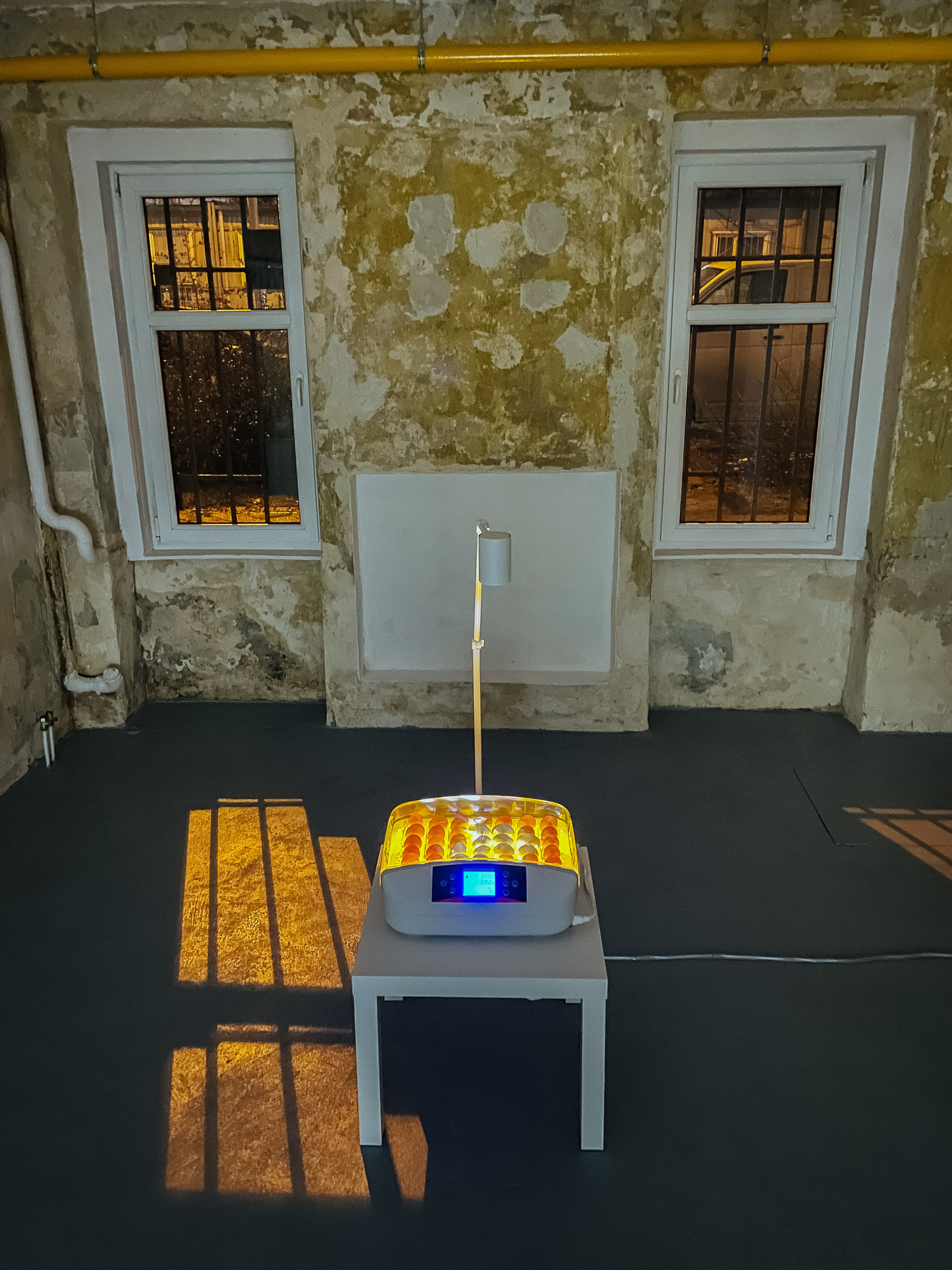 Inkubator. Maria Węsławska-Gribina