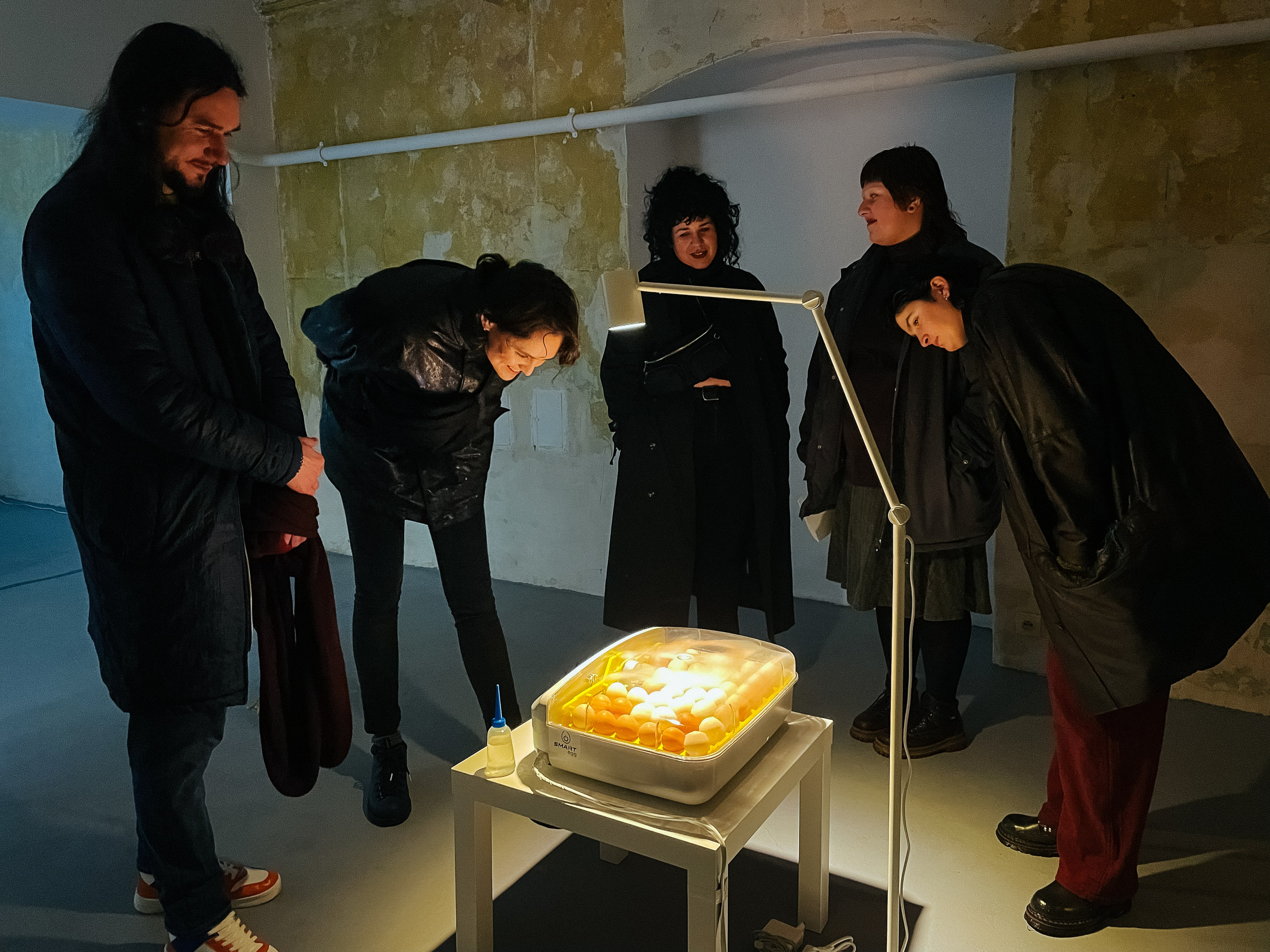 Inkubator. Maria Węsławska-Gribina