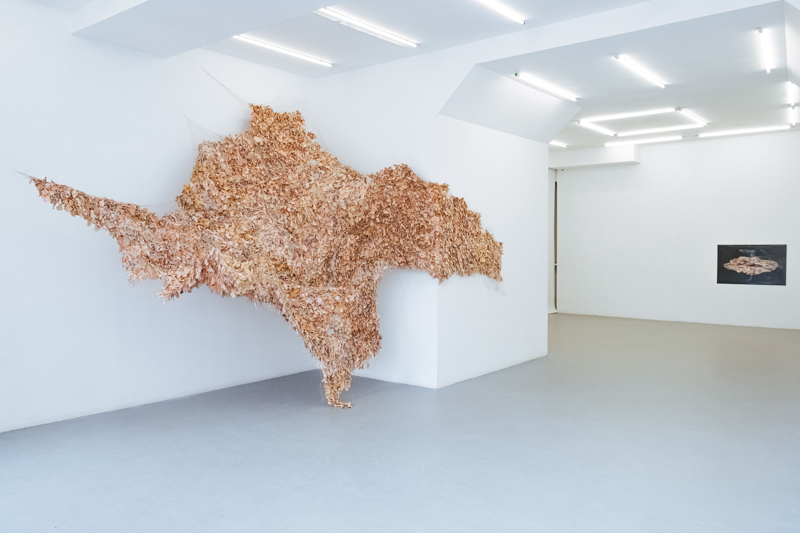 A large installation resembling a camouflage net is displayed on the wall of a bright, white gallery space. The net is composed of numerous small pieces in various shades of beige and brown, closely resembling the colors of human skin. The net's organic, flowing form extends across the corner of the room, creating a dynamic and textured surface. This artwork is part of the "Azyl" (Asylum) project, symbolizing a shelter for humanity and a refuge from violence and war, while highlighting themes of vulnerability, intimacy, and the role of women in addressing social and political issues.