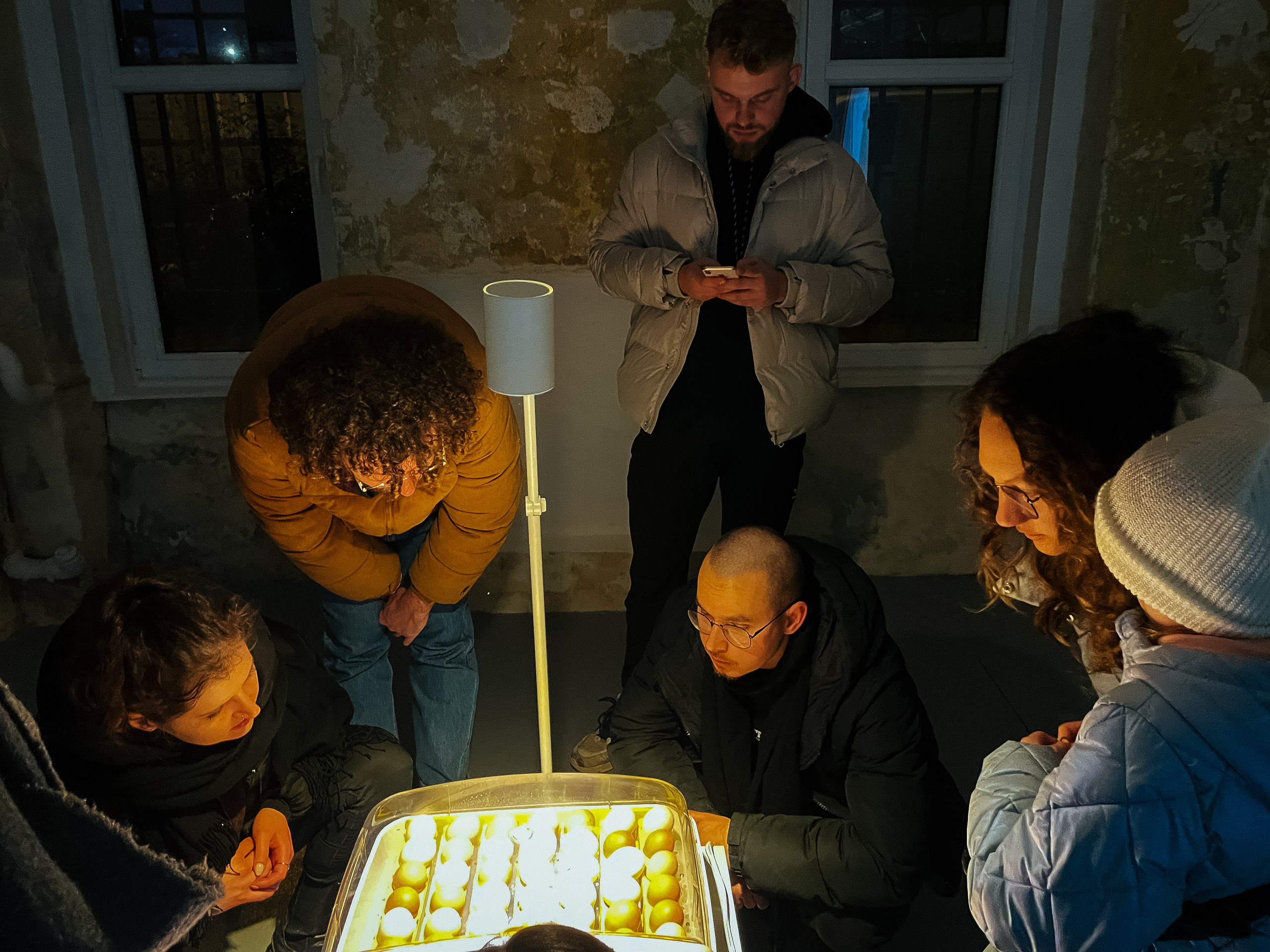 Inkubator. Maria Węsławska-Gribina