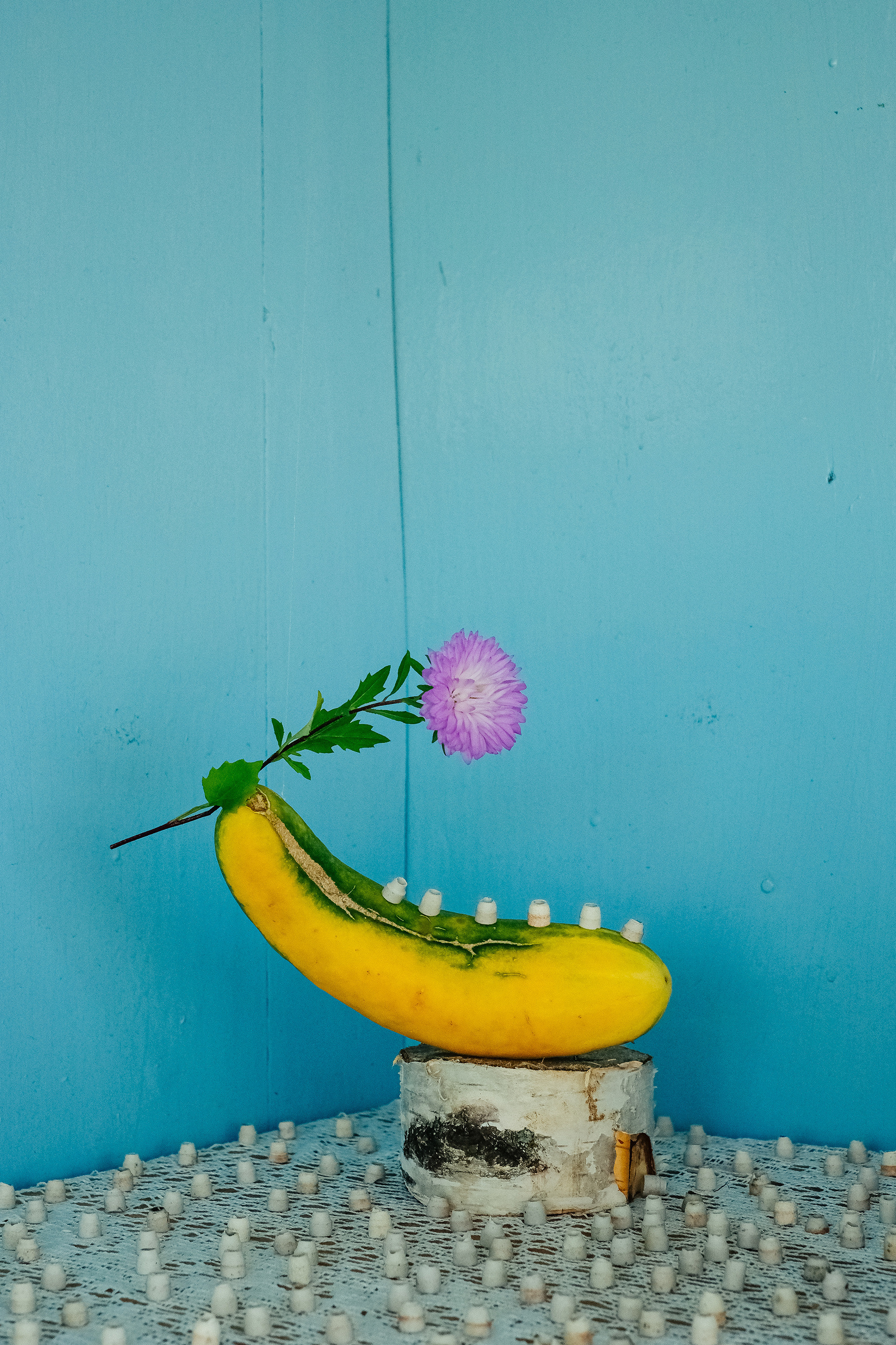 "Sprouts". A dacha, a plot of land, a vegetable garden was a huge help for many families in the USSR. Food was scarce in stores. We grew vegetables, fruits, and herbs on our own plots. All this was then canned, boiled, dried and pickled. And in early spring everything started with sprouts. When my mother or grandmother germinated seeds on a window sill and planted them in a pot with soil. Gradually, all these tomatoes, zucchini, pumpkins, cucumbers sprouted and when it became quite warm were planted in the open ground.