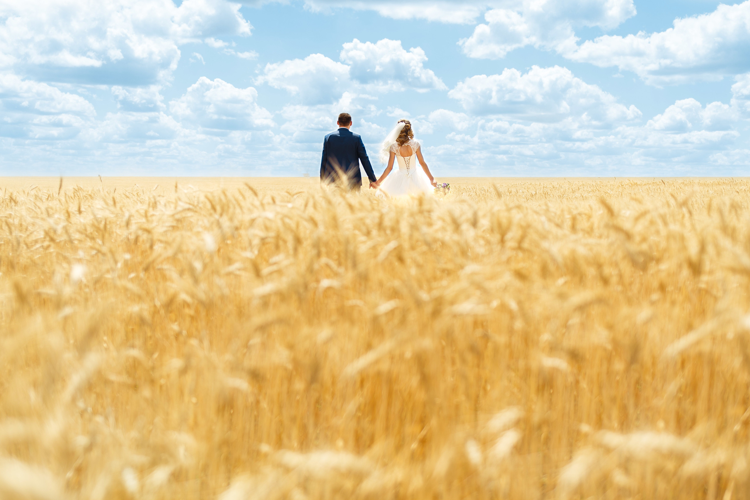 Свадьбы. Свадебный и семейный фотограф в Днепре