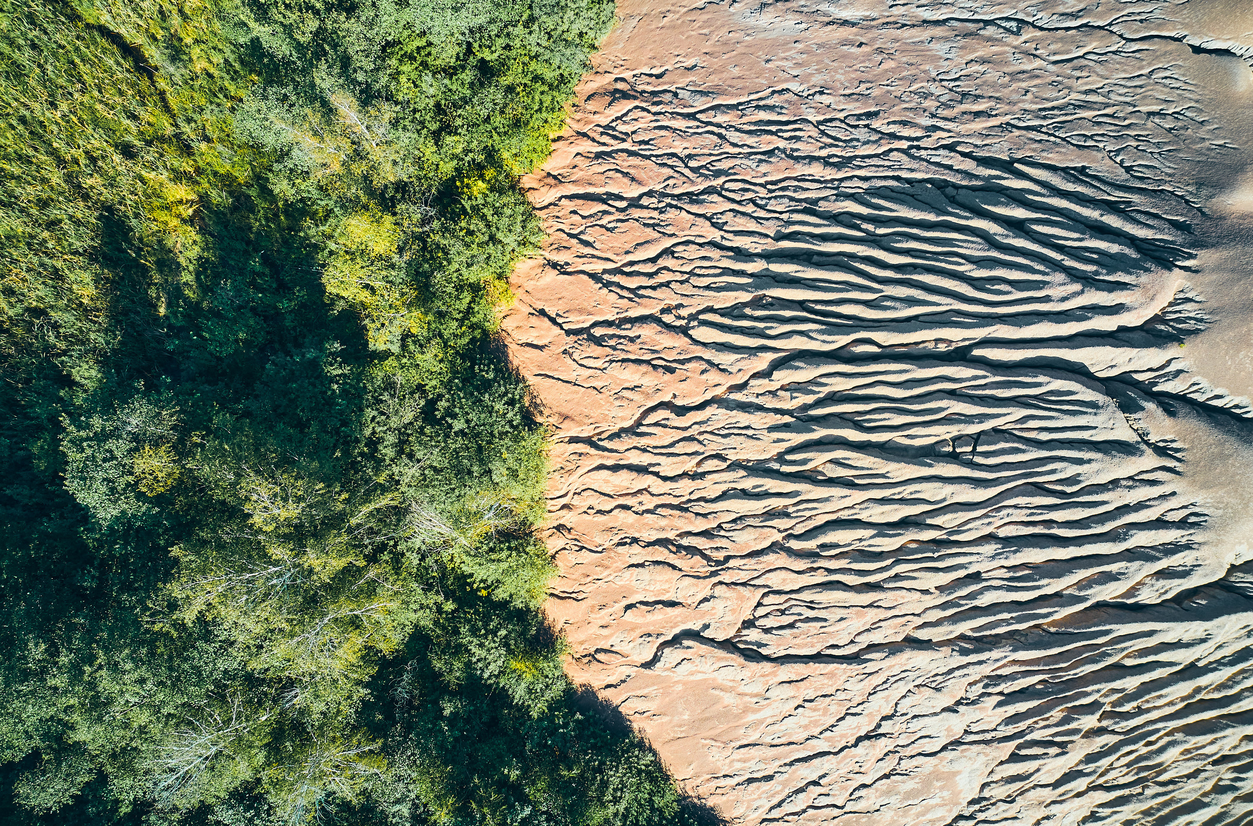 Art. Business events, portraits and architecture photographer in Ukraine and Europe