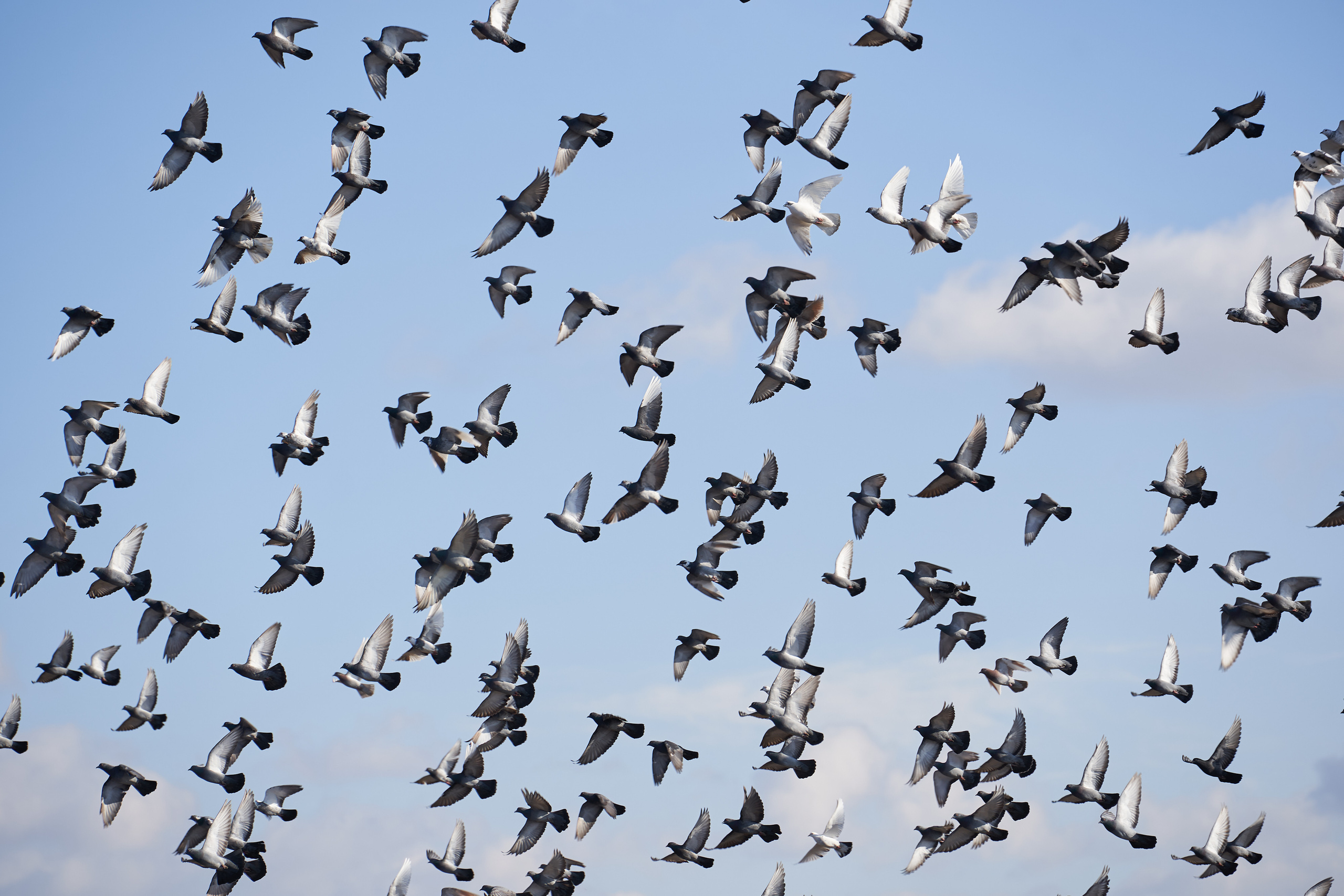 Art. Business events, portraits and architecture photographer in Ukraine and Europe