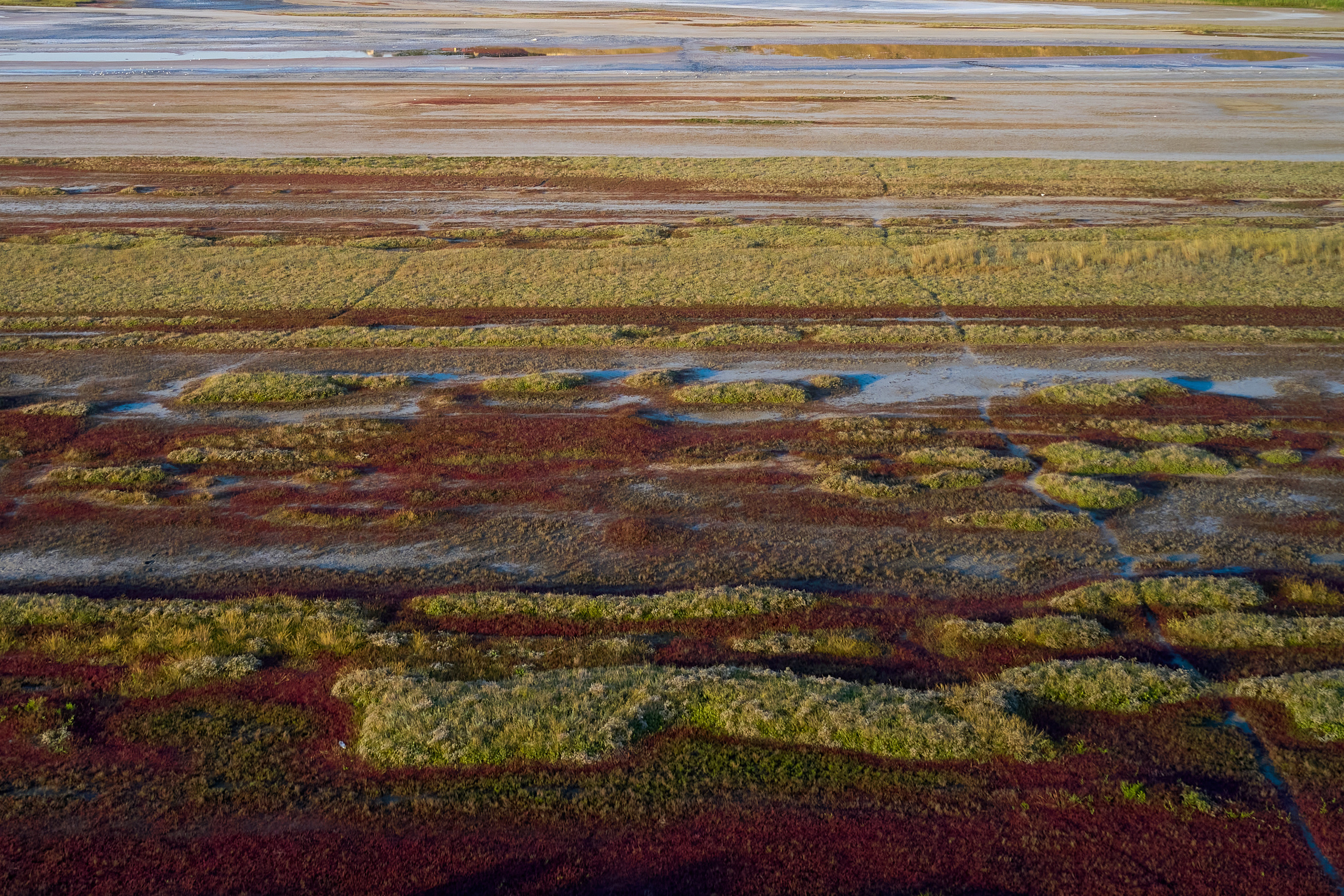 Art. Business events, portraits and architecture photographer in Ukraine and Europe