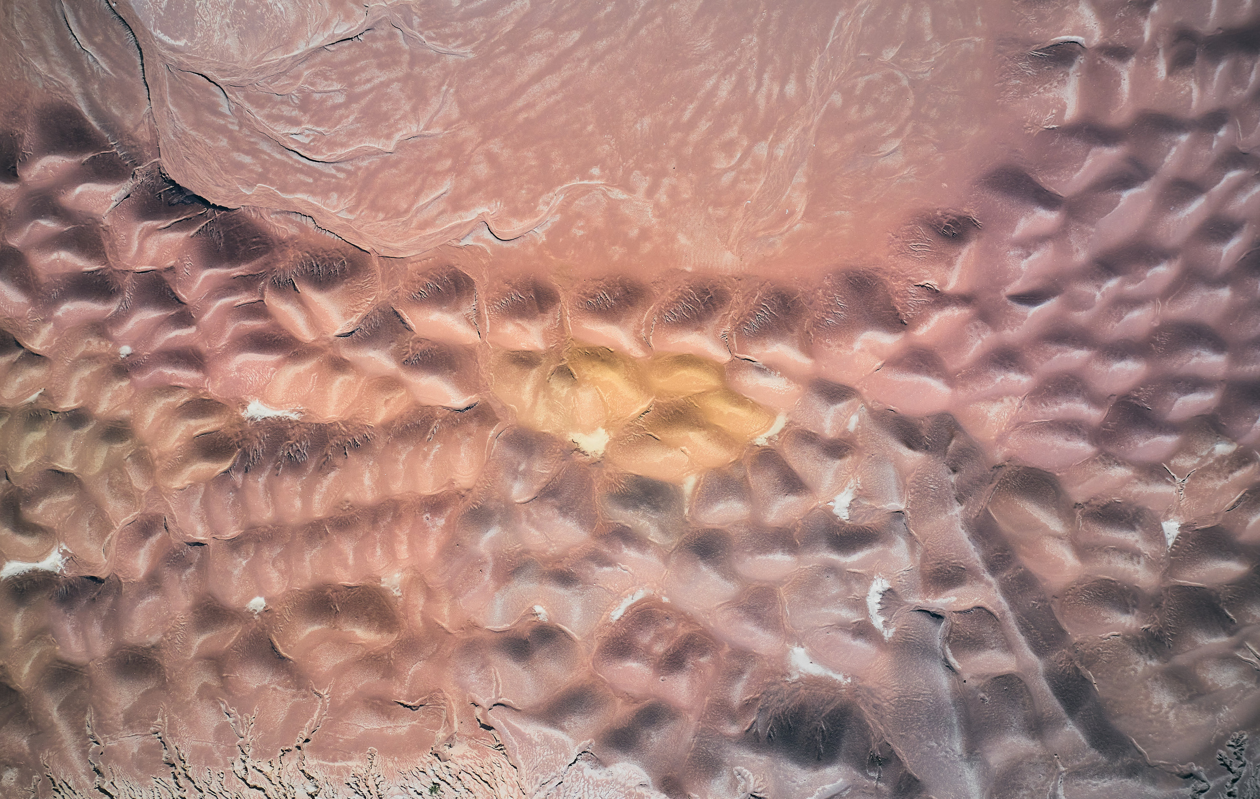 Art. Business events, portraits and architecture photographer in Ukraine and Europe