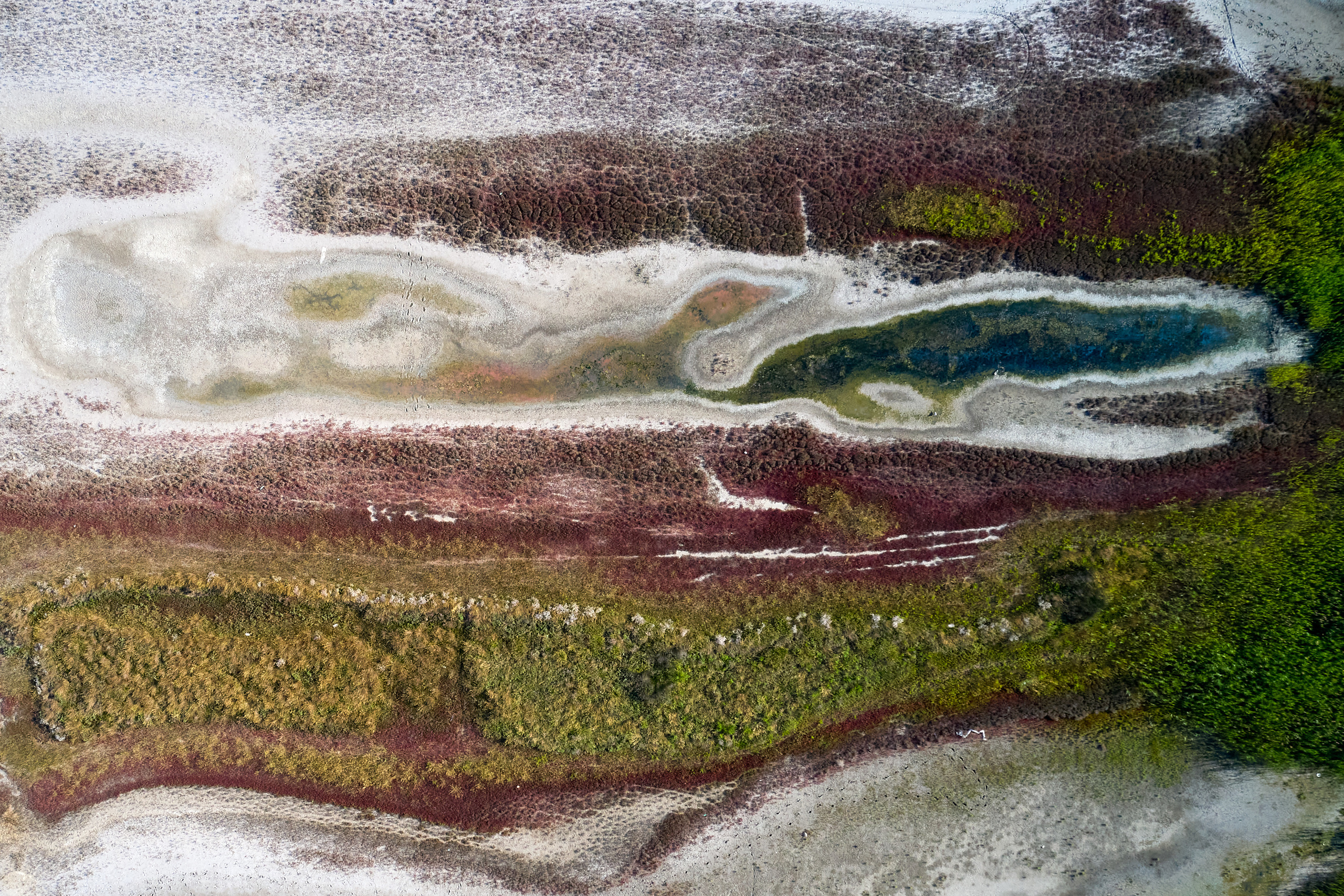 Art. Business events, portraits and architecture photographer in Ukraine and Europe