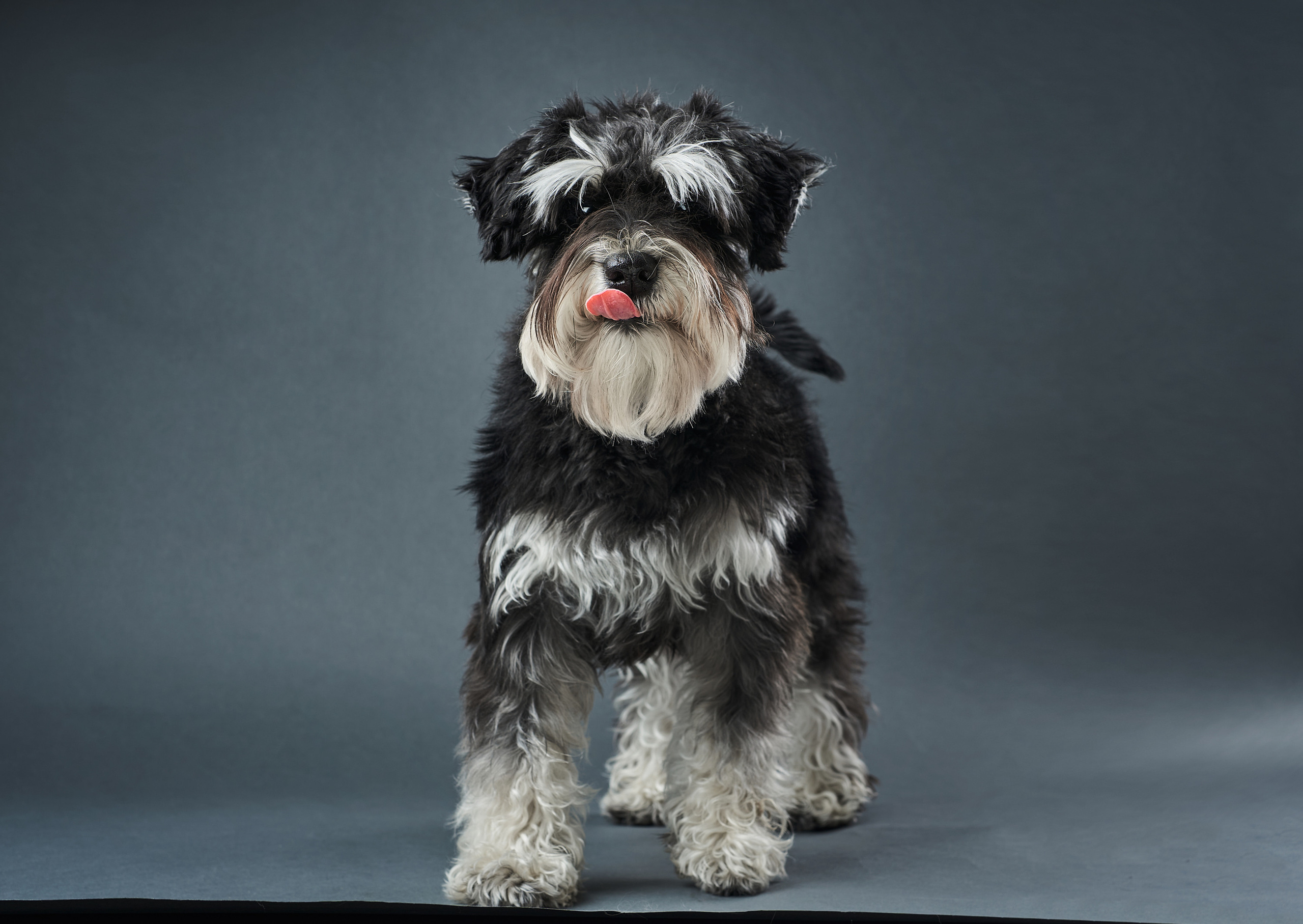 Portraits. Business events, portraits and architecture photographer in Ukraine and Europe