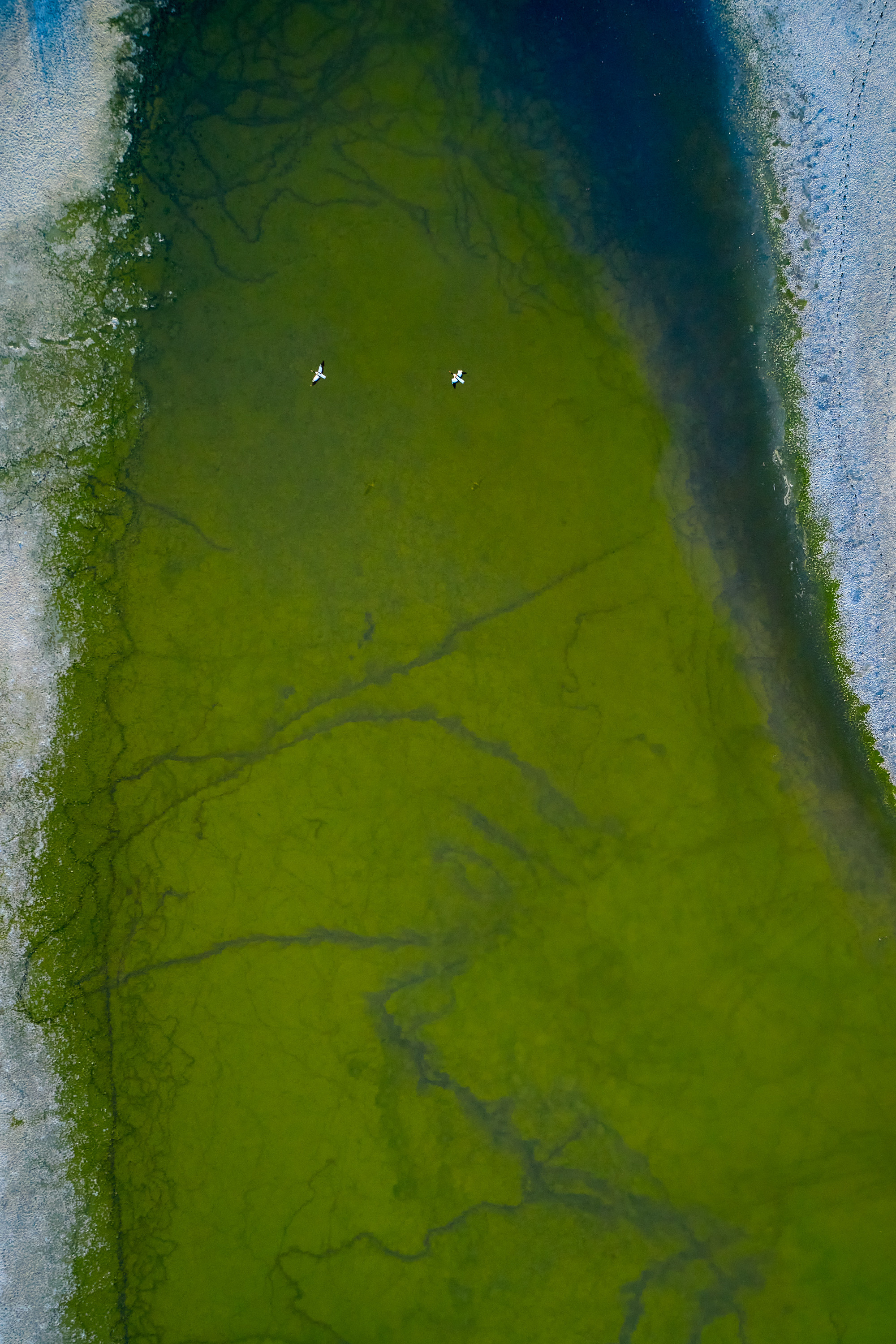 Art. Business events, portraits and architecture photographer in Ukraine and Europe