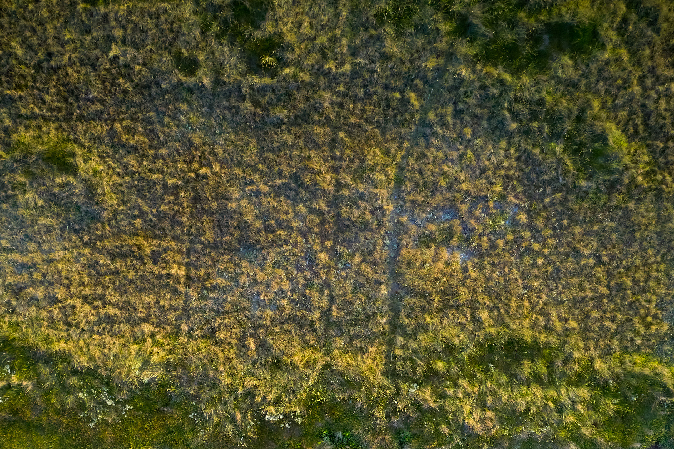 Art. Business events, portraits and architecture photographer in Ukraine and Europe