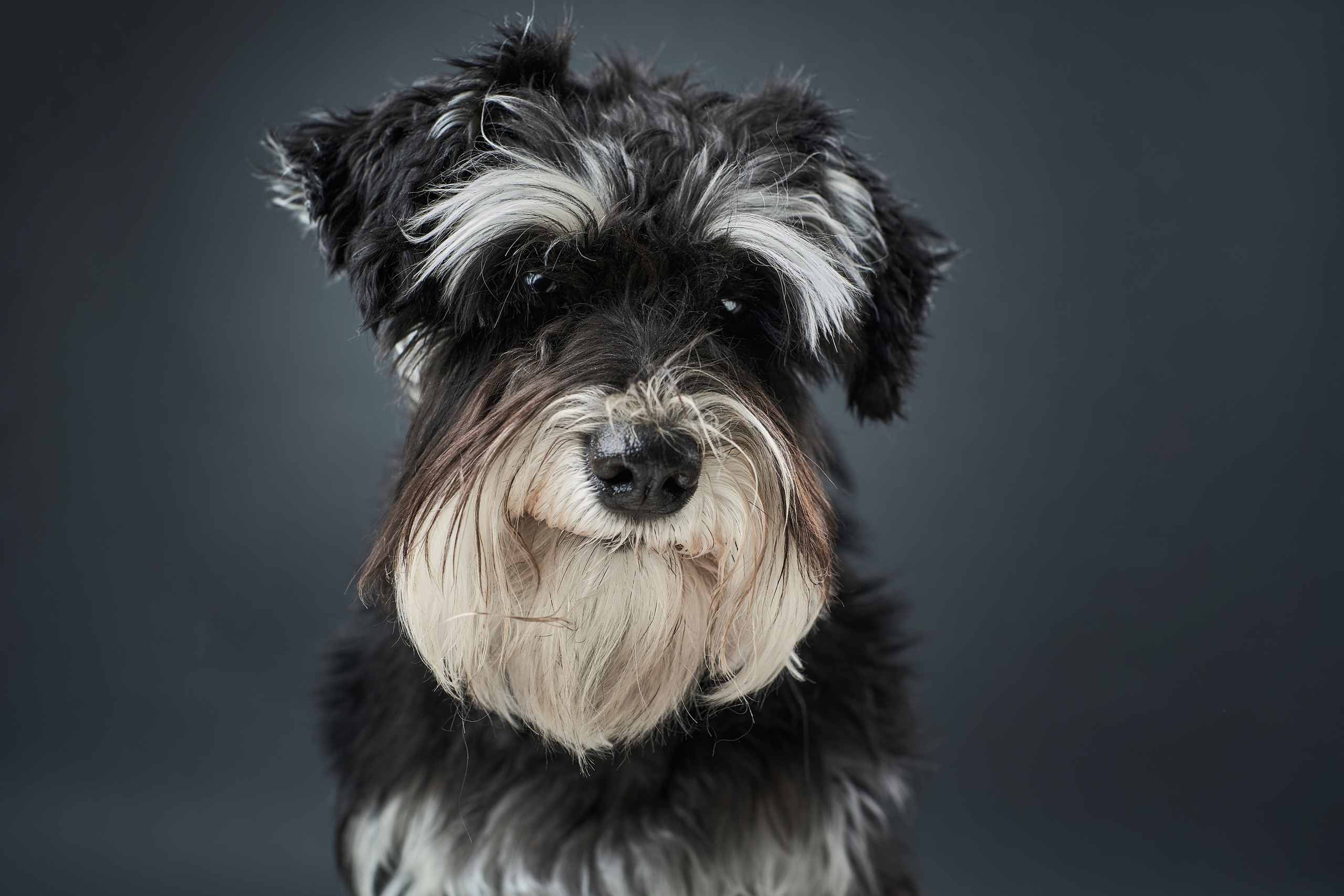 Portraits. Business events, portraits and architecture photographer in Ukraine and Europe