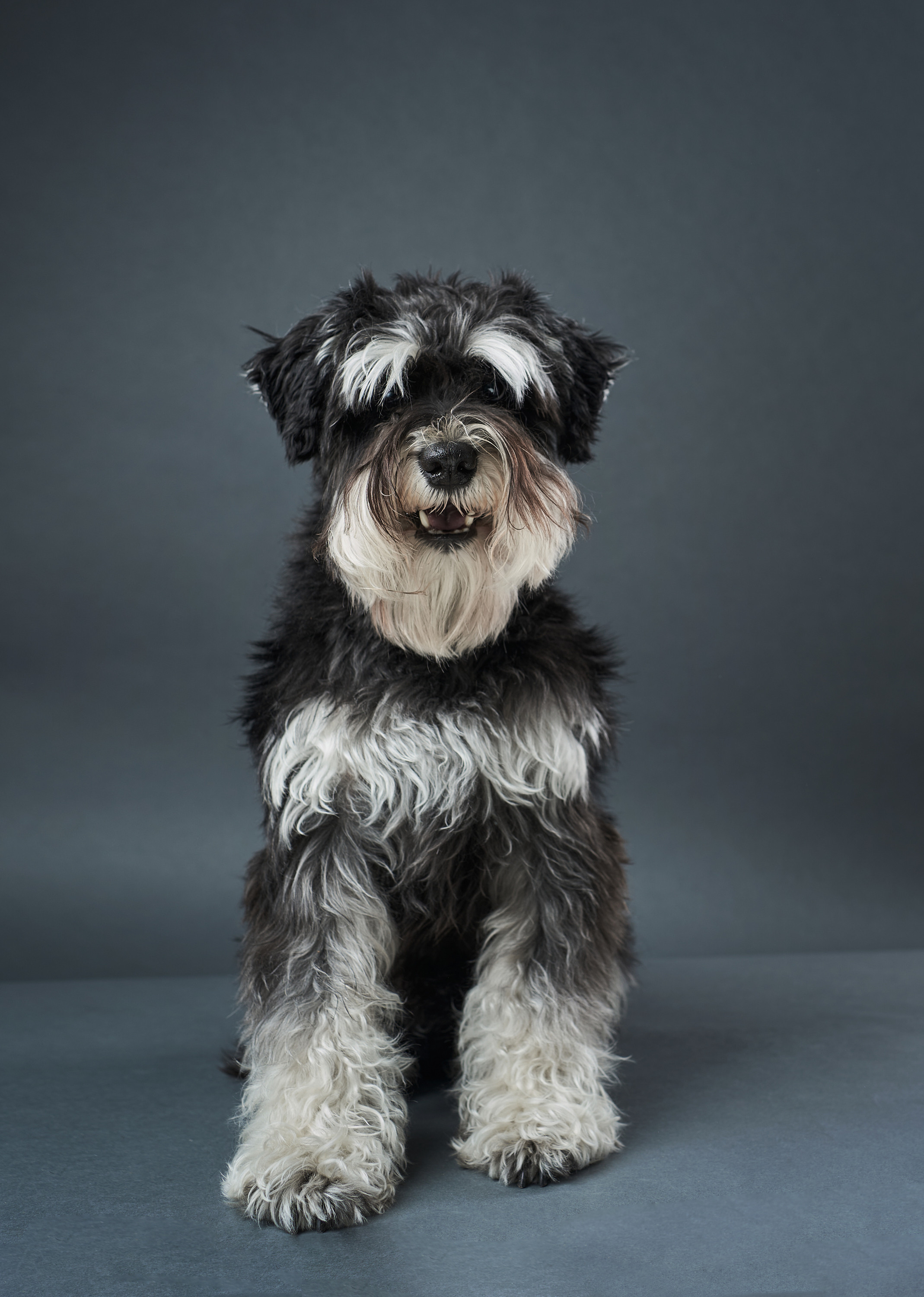 Portraits. Business events, portraits and architecture photographer in Ukraine and Europe