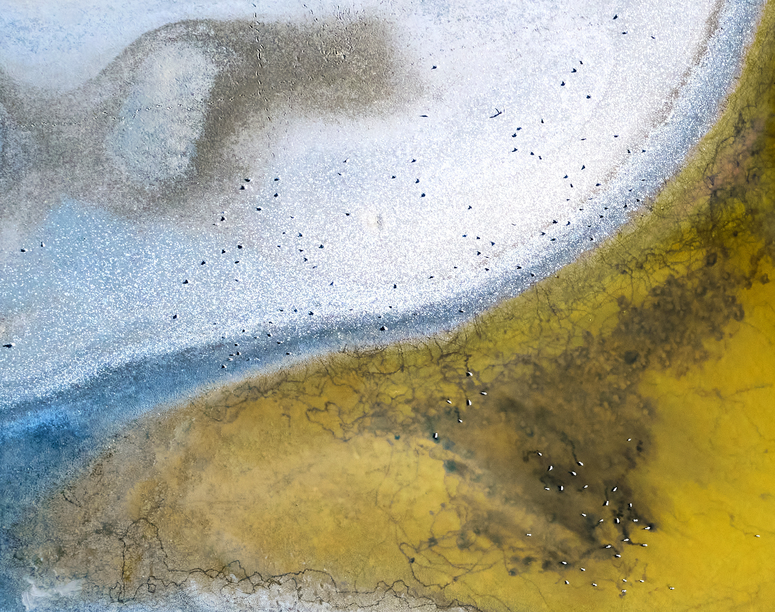 Art. Business events, portraits and architecture photographer in Ukraine and Europe