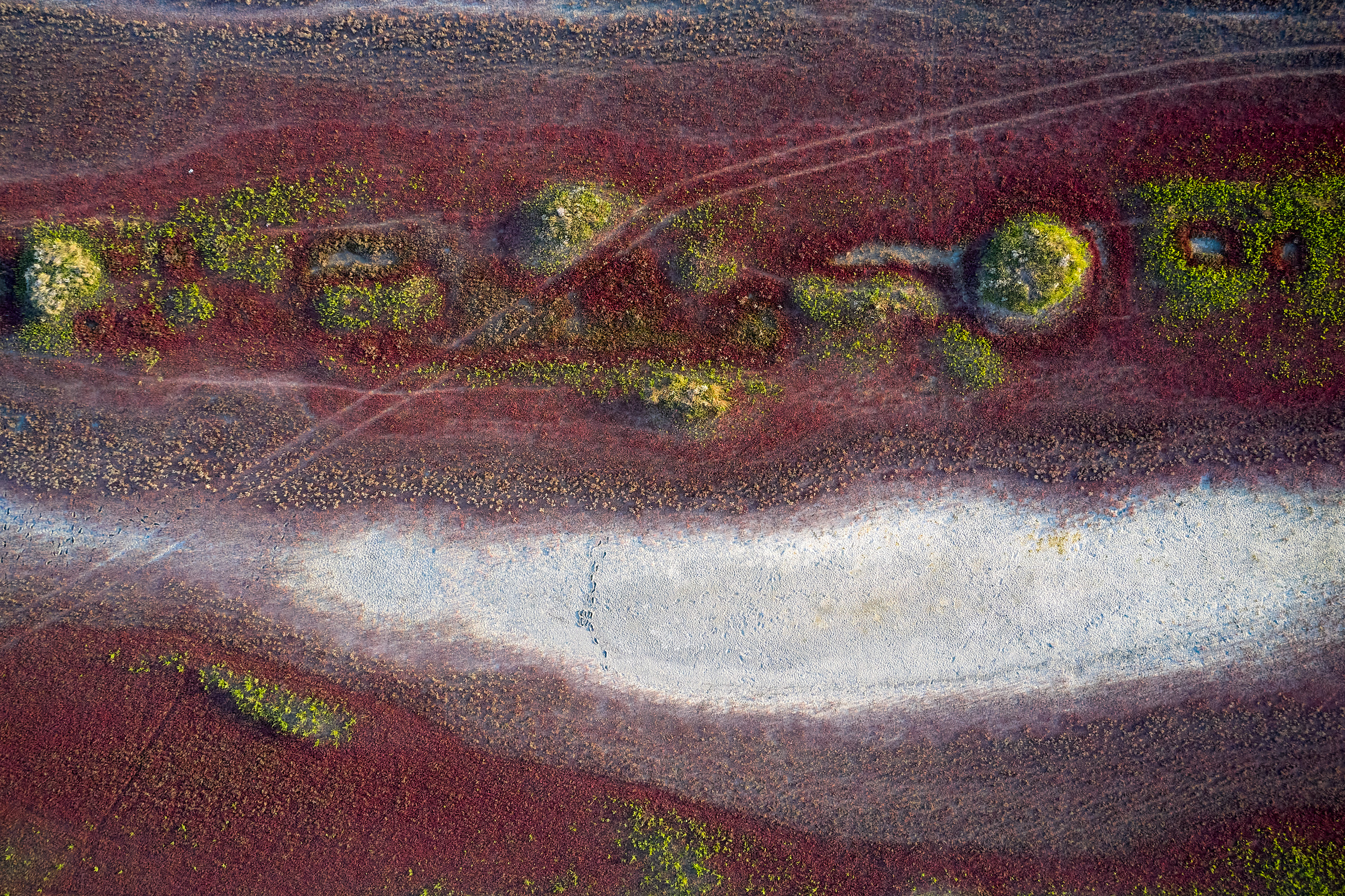 Art. Business events, portraits and architecture photographer in Ukraine and Europe