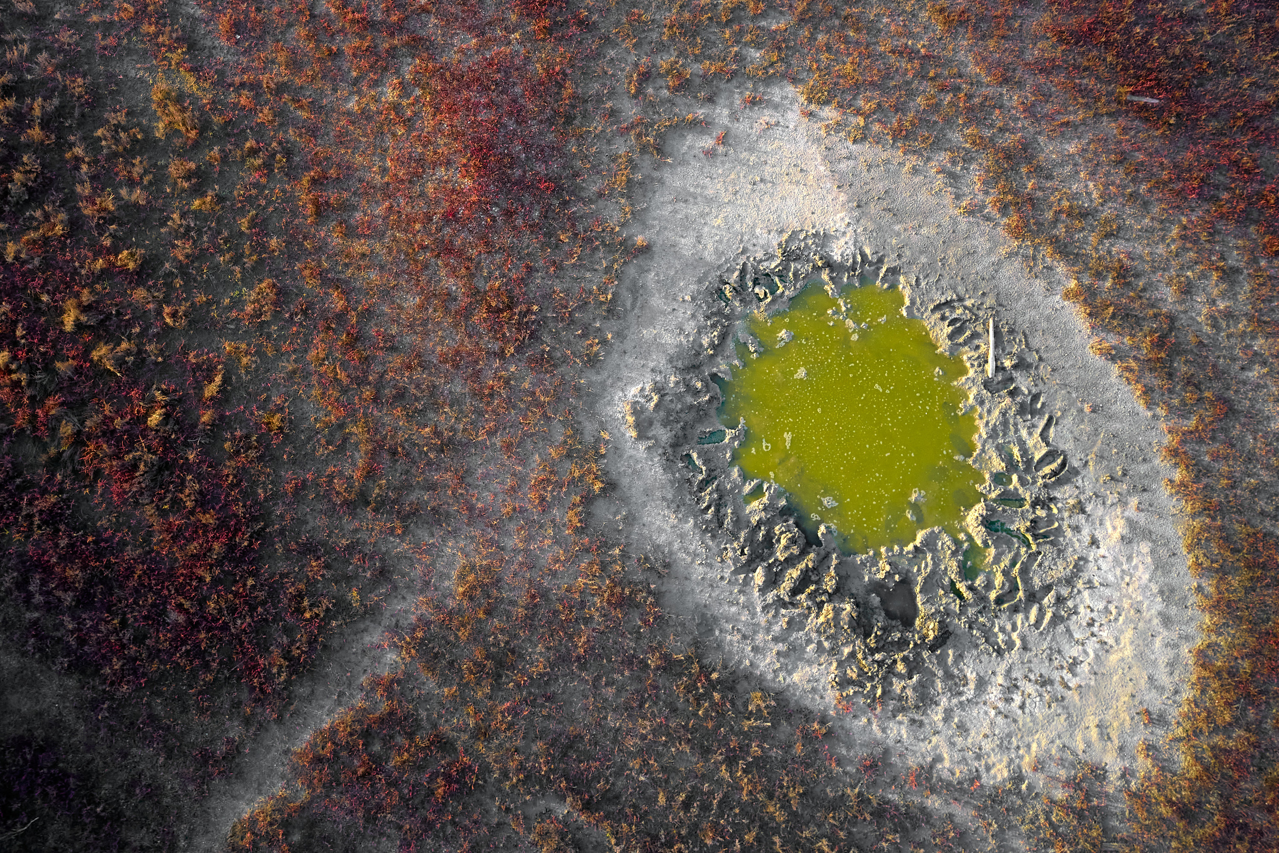 Art. Business events, portraits and architecture photographer in Ukraine and Europe