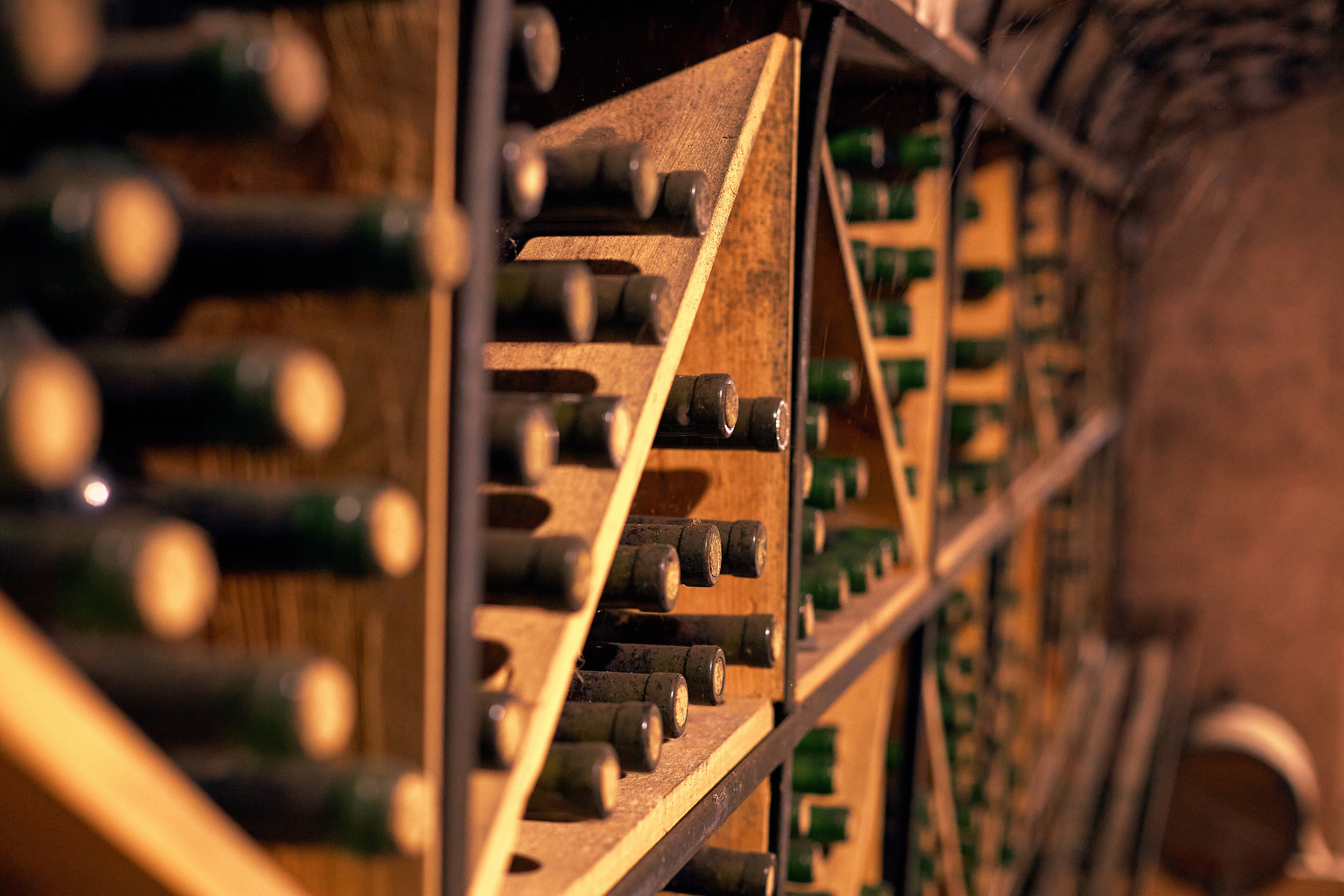 Съёмка для Одесского завода классических вин