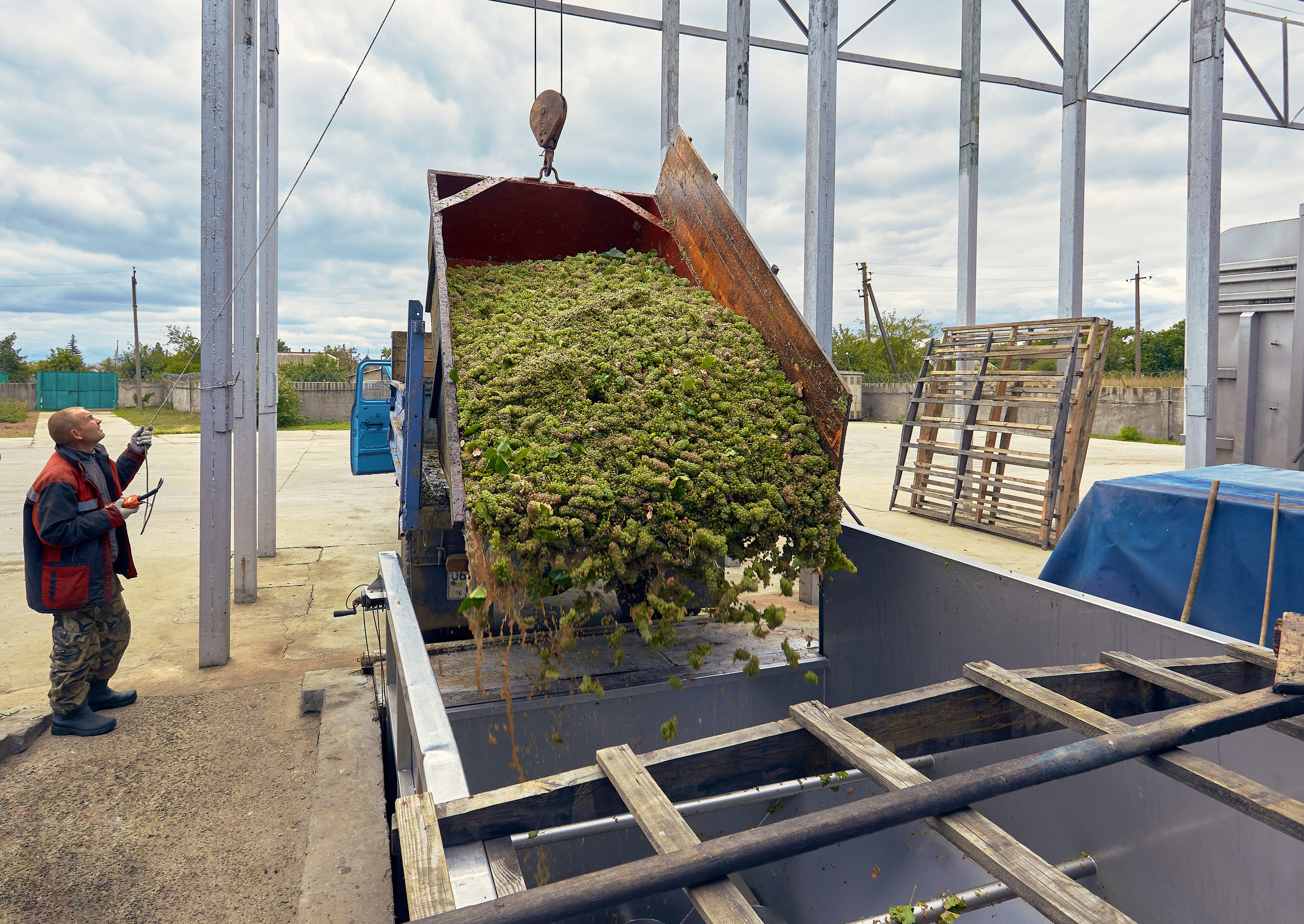 Съёмка для Одесского завода классических вин