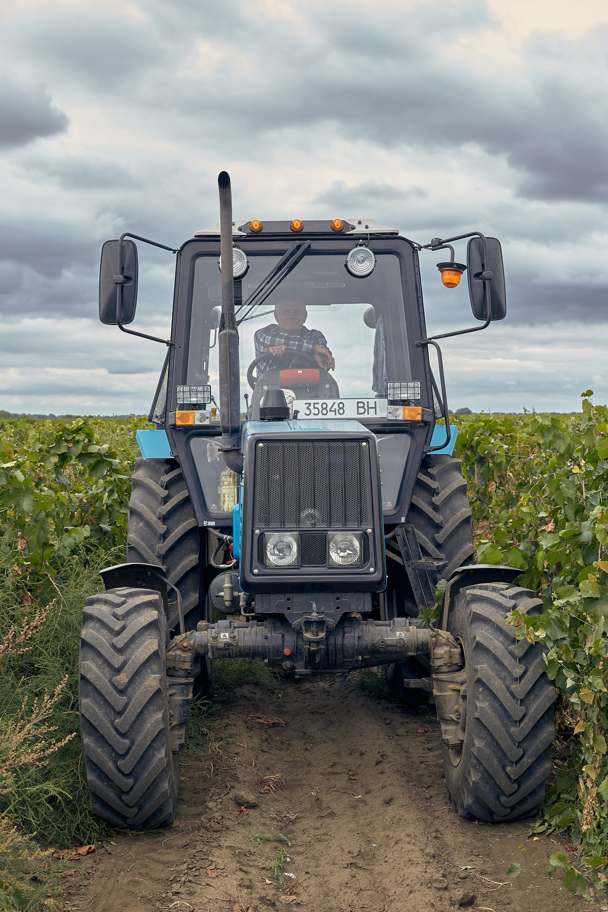Промислова фотосесія для заводу вин в Одесі