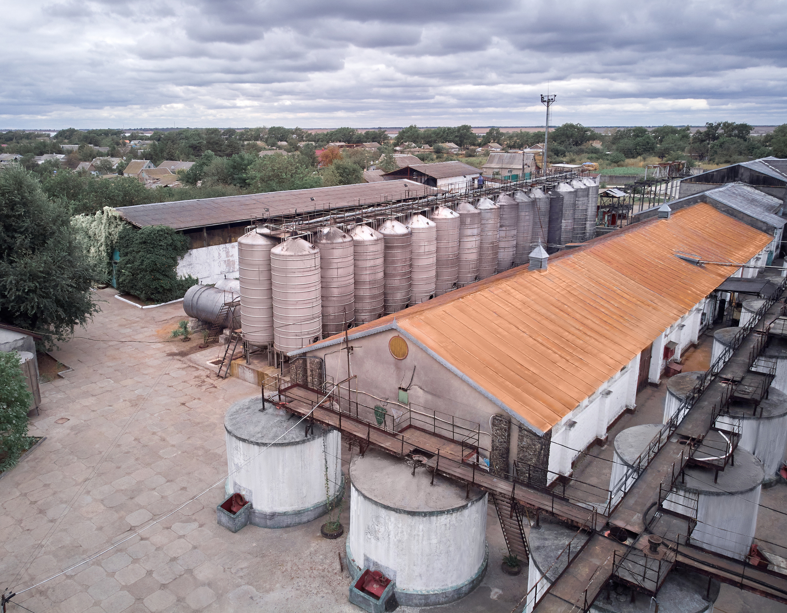 Съёмка для Одесского завода классических вин