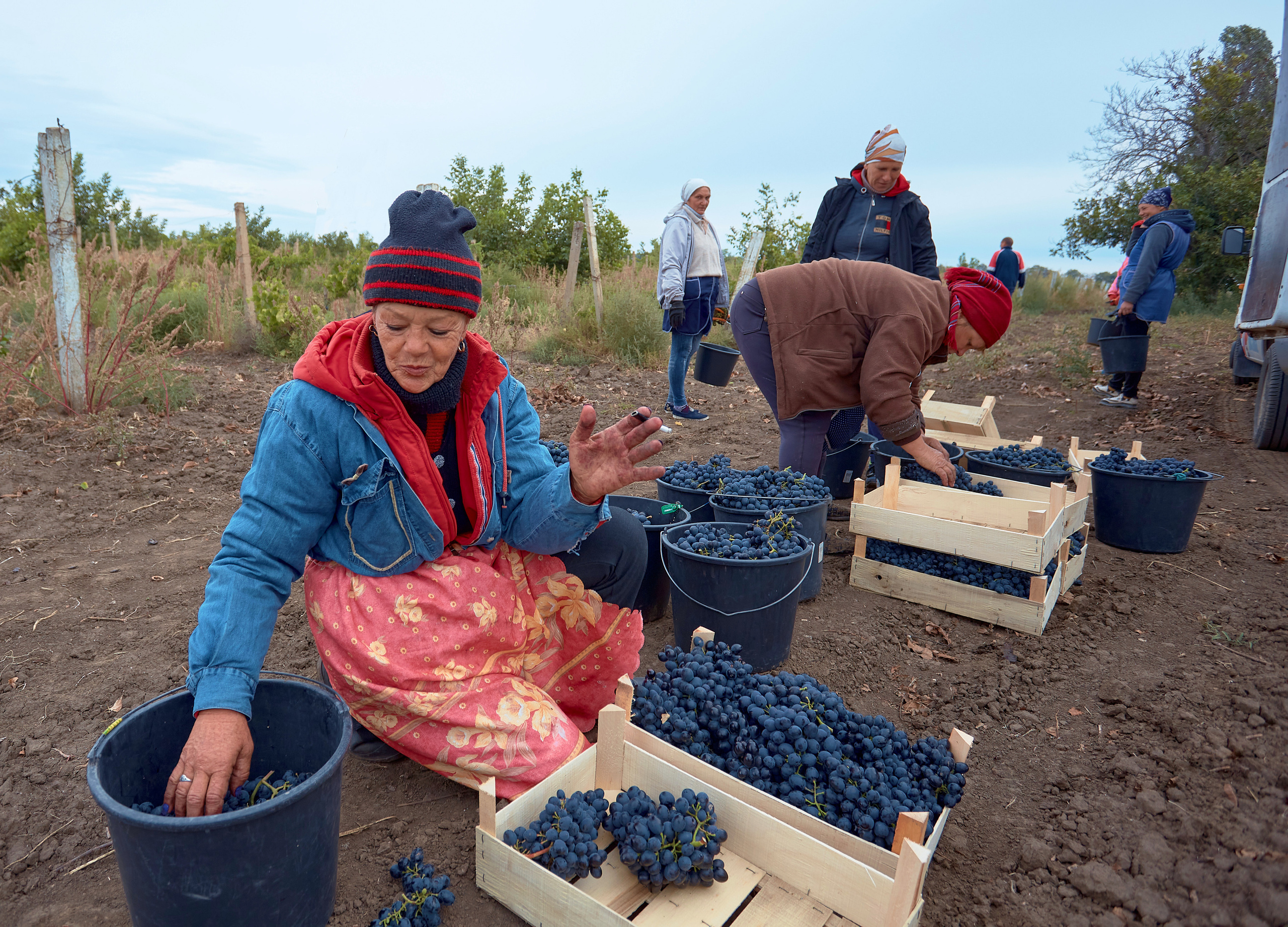Съёмка для Одесского завода классических вин