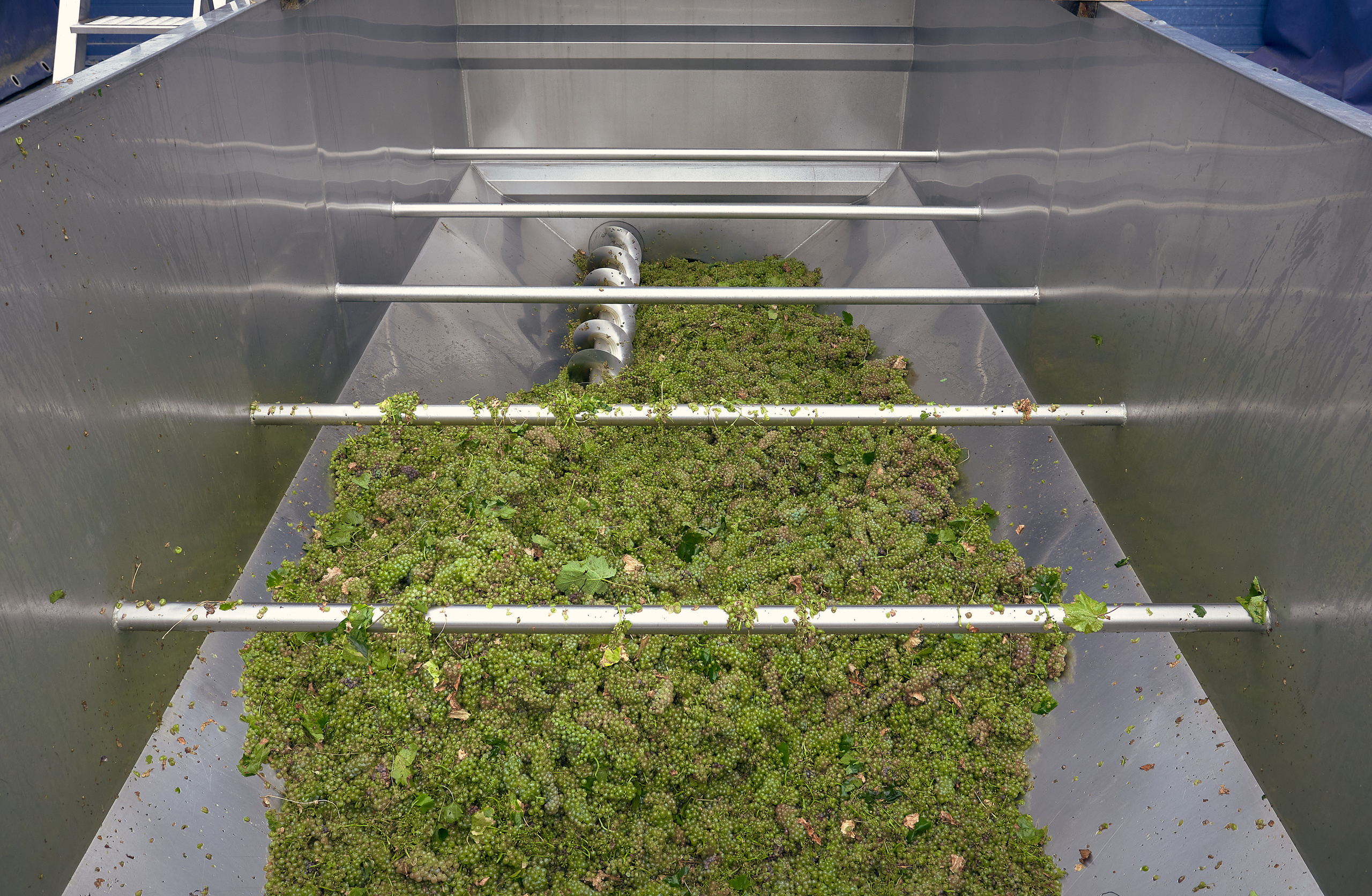 Съёмка для Одесского завода классических вин