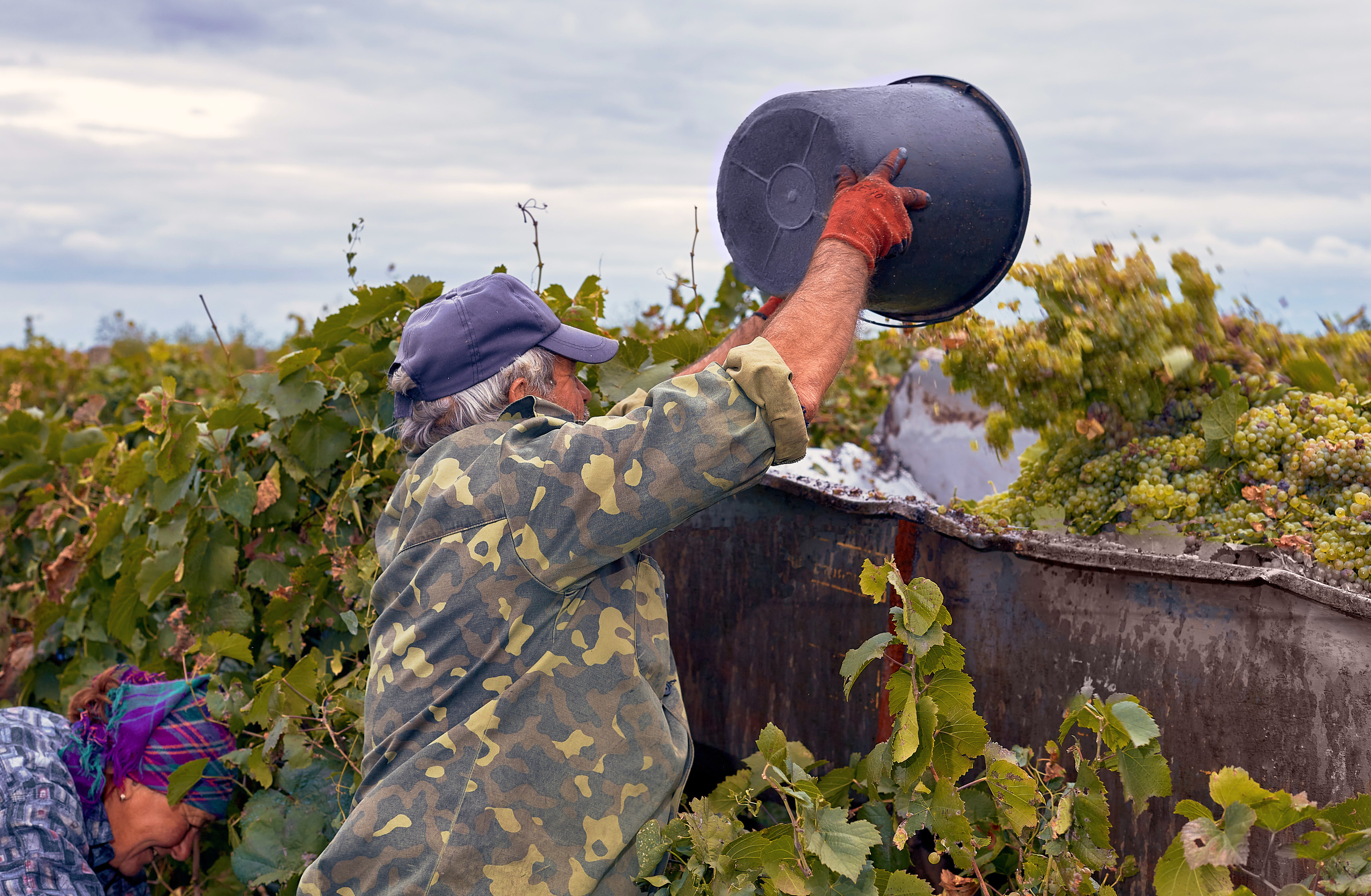 Съёмка для Одесского завода классических вин