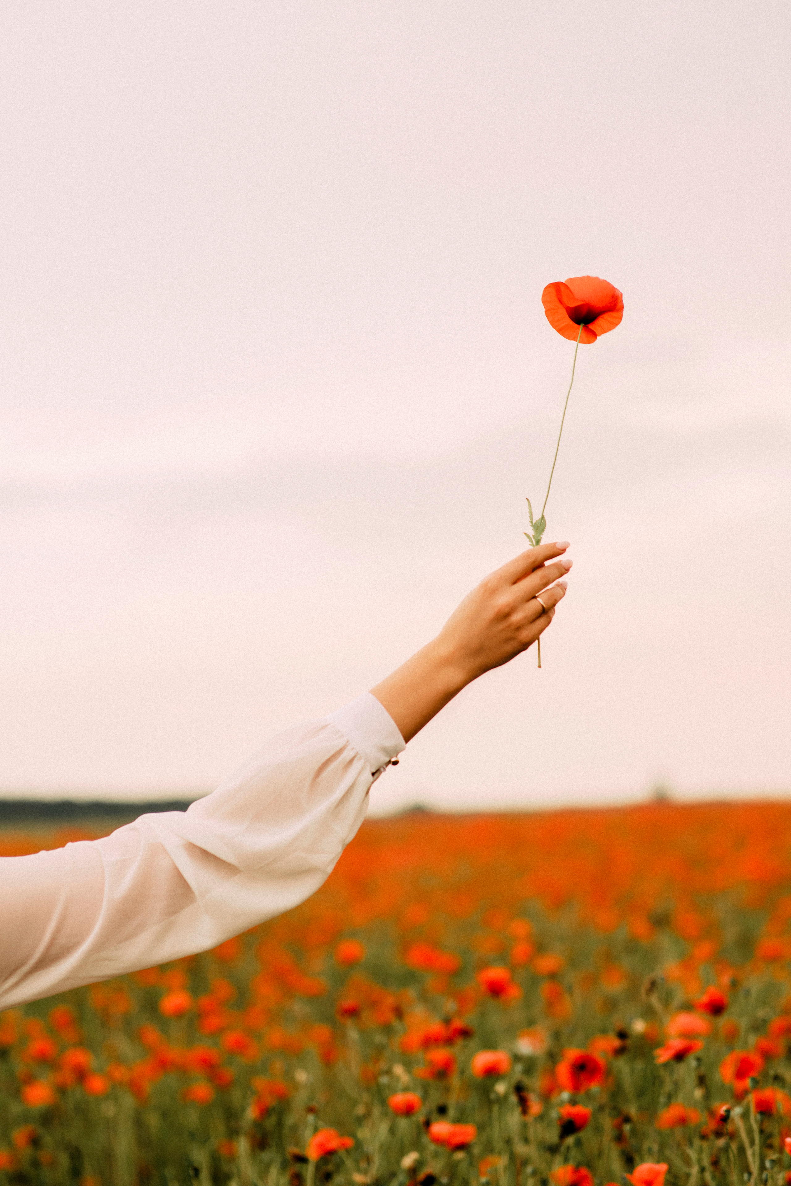 Anastasiya. Portrait and Wedding photographer in Poland Nastia Voytko