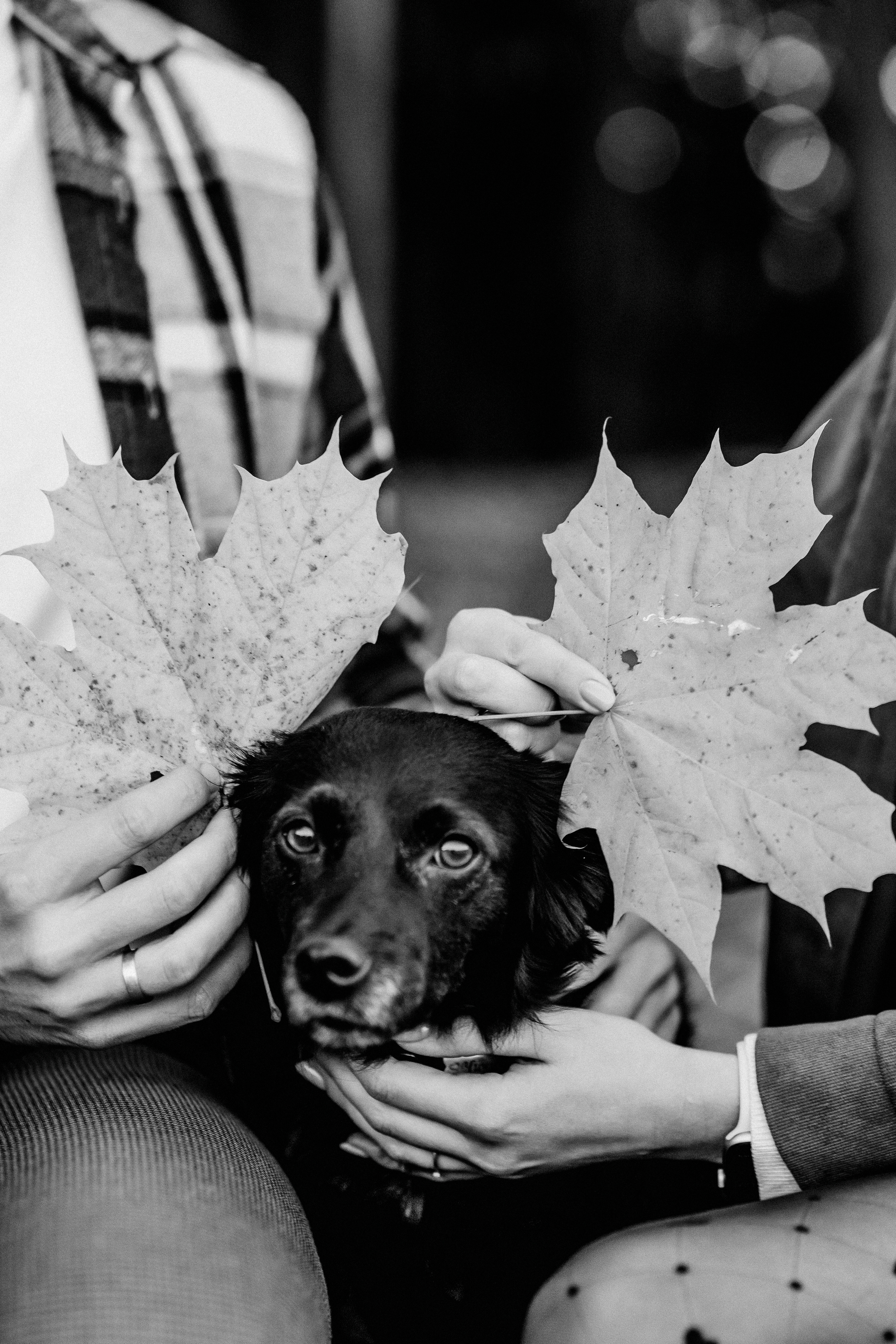 Nastia&Zhenya. Portrait and Wedding photographer in Poland Nastia Voytko