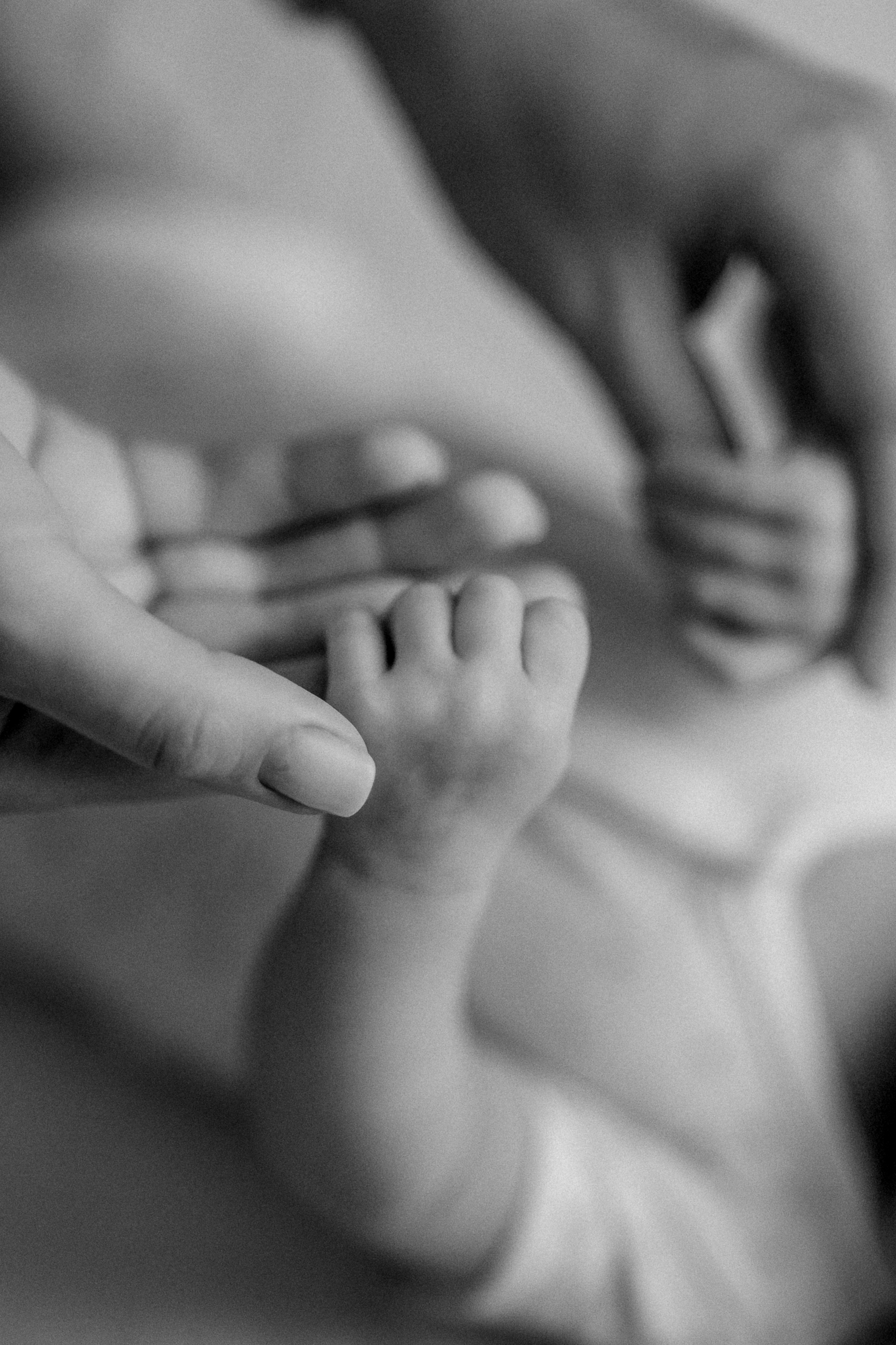 Vasilisa&Nastia&Zhenya. Portrait and Wedding photographer in Poland Nastia Voytko