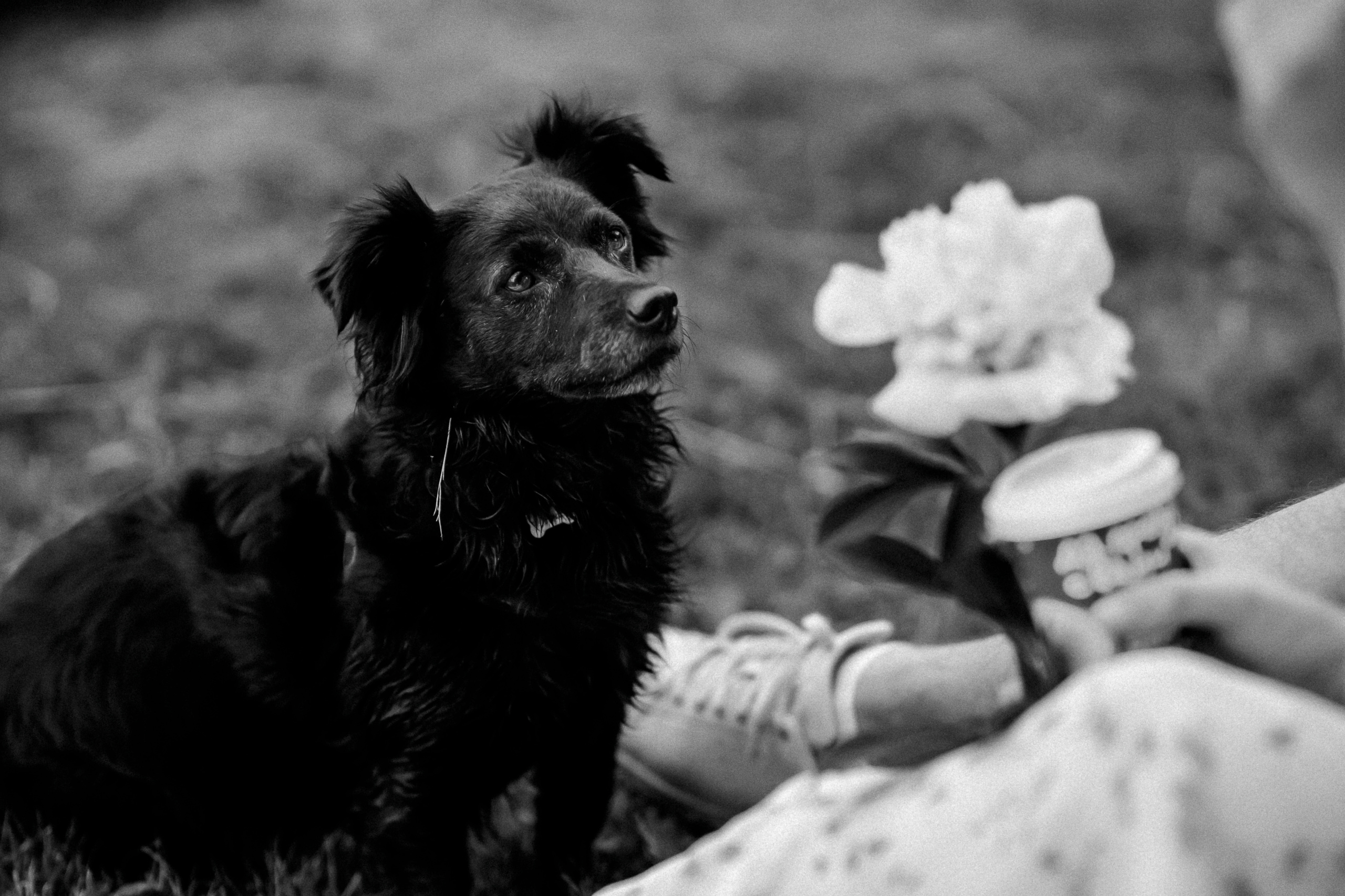 Аnastasiya&Evgeniy. Portrait and Wedding photographer in Poland Nastia Voytko