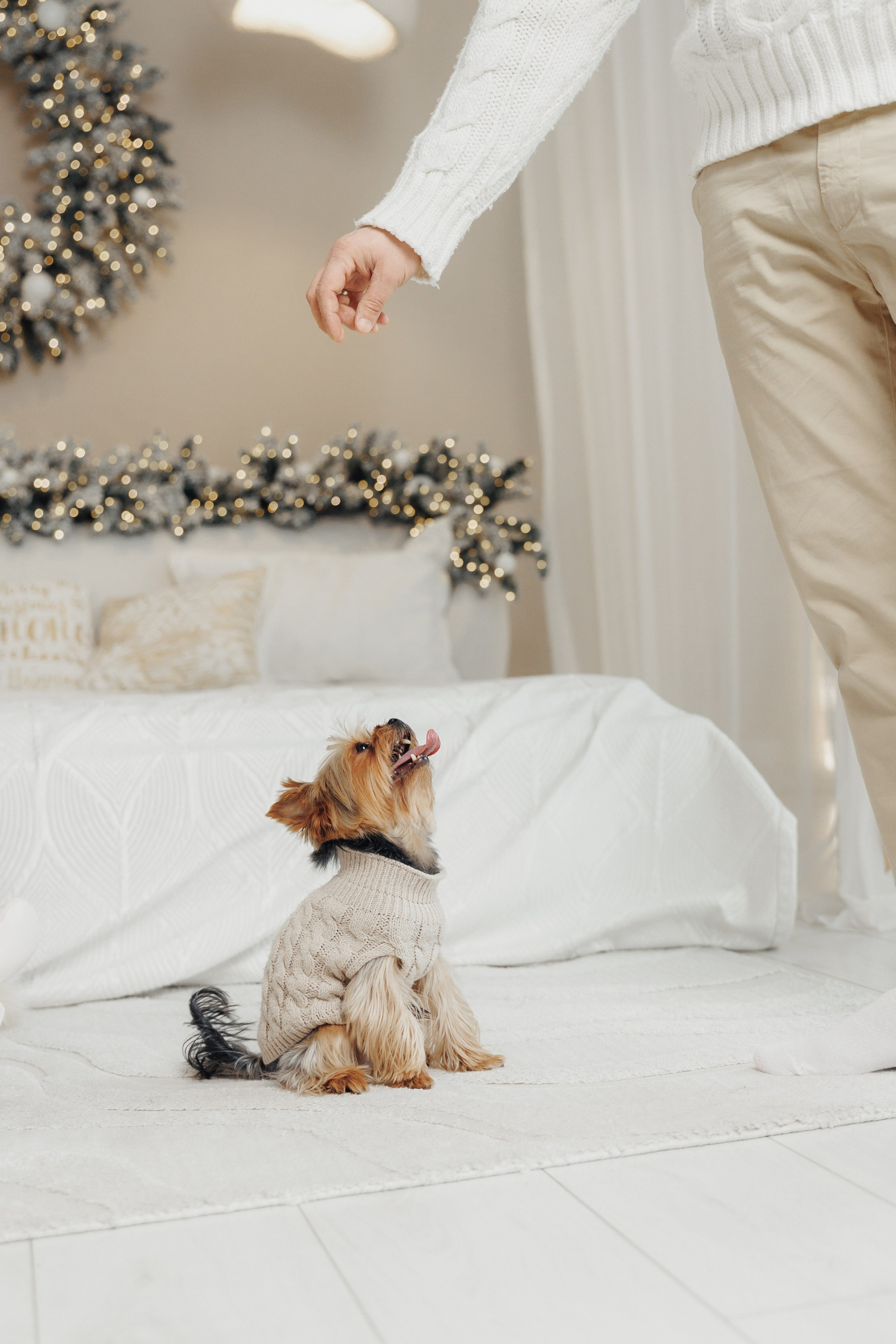 Lea Christmas. Wedding photographer