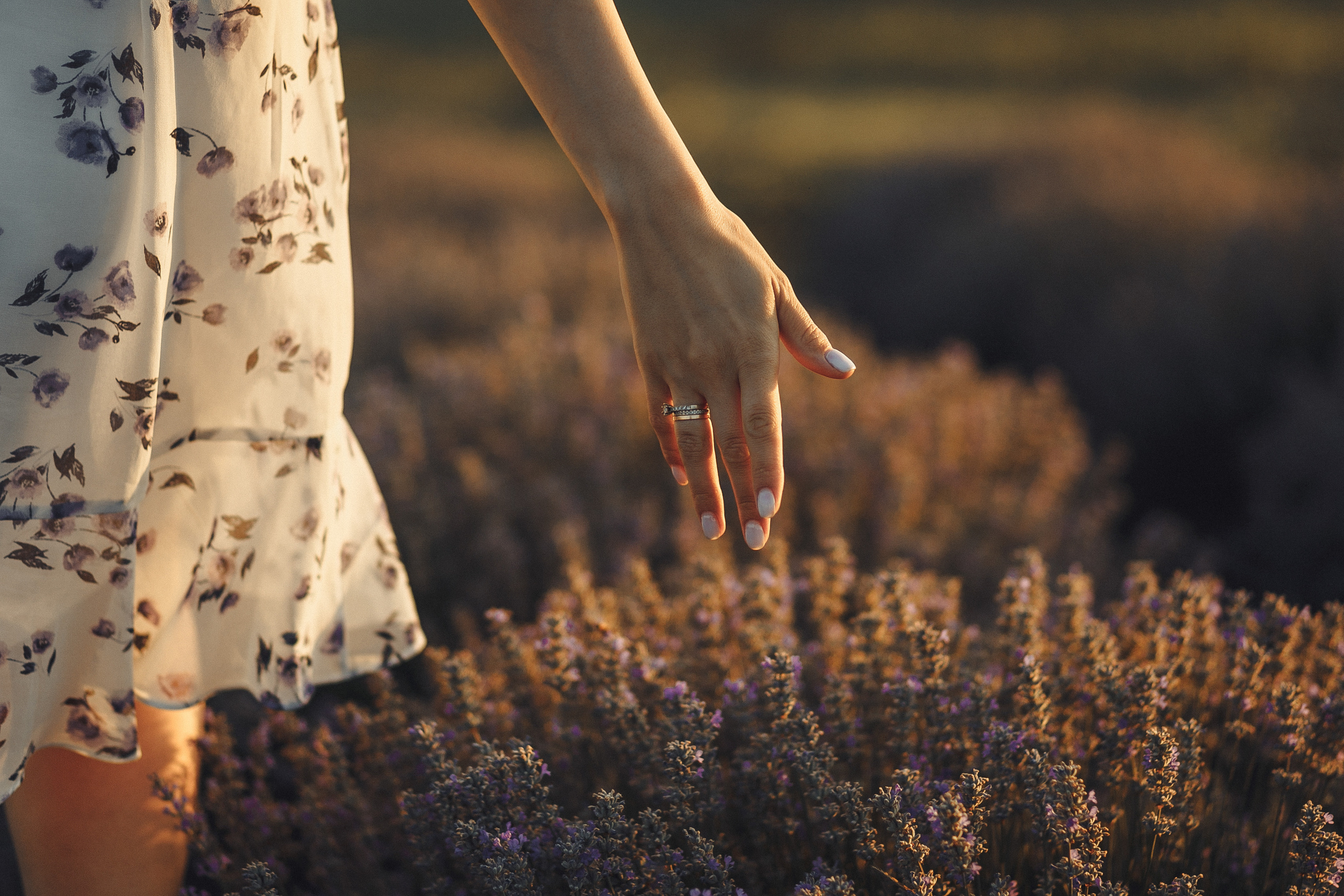 Tatiana & Sergiu. Wedding photographer