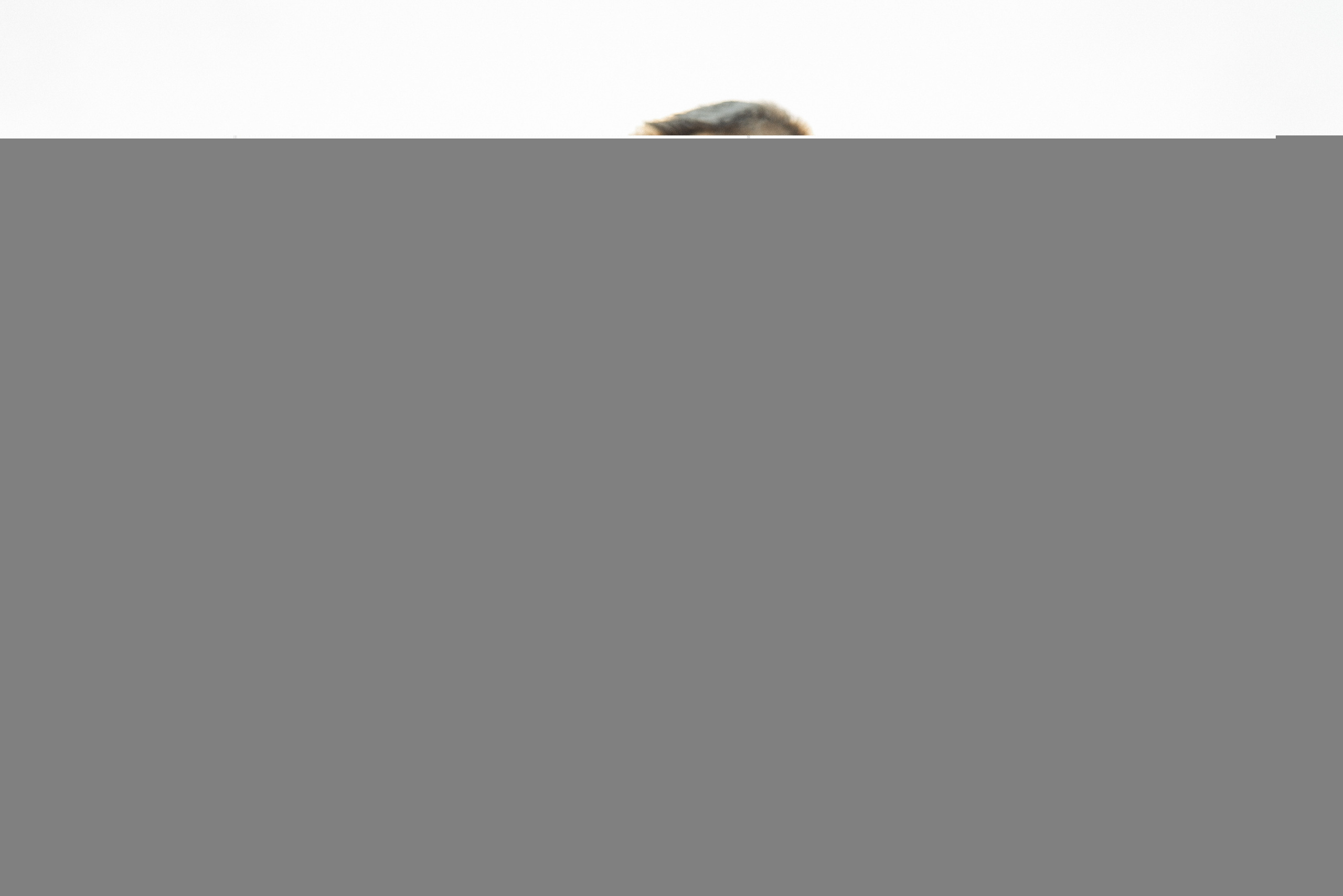 Tatiana & Sergiu. Wedding photographer