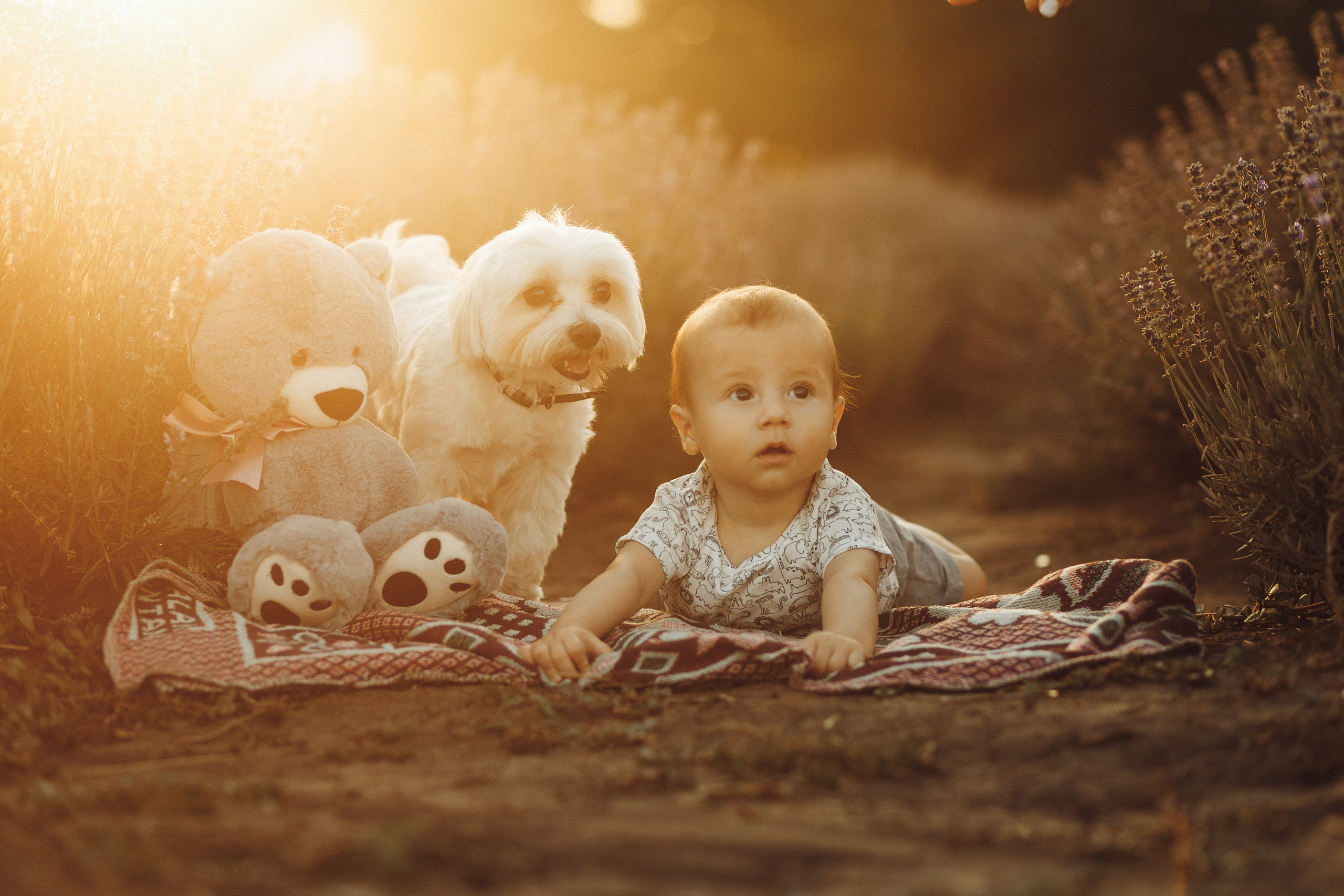 Tatiana & Sergiu. Wedding photographer