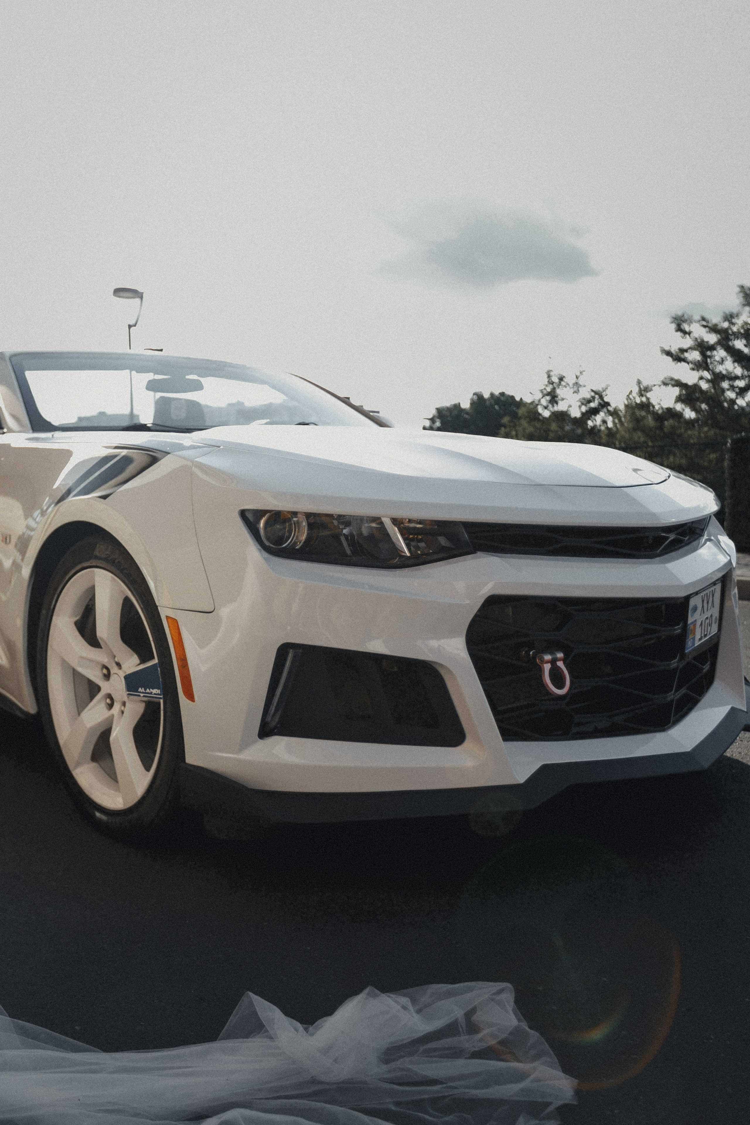 Ion & Inga. Wedding photographer