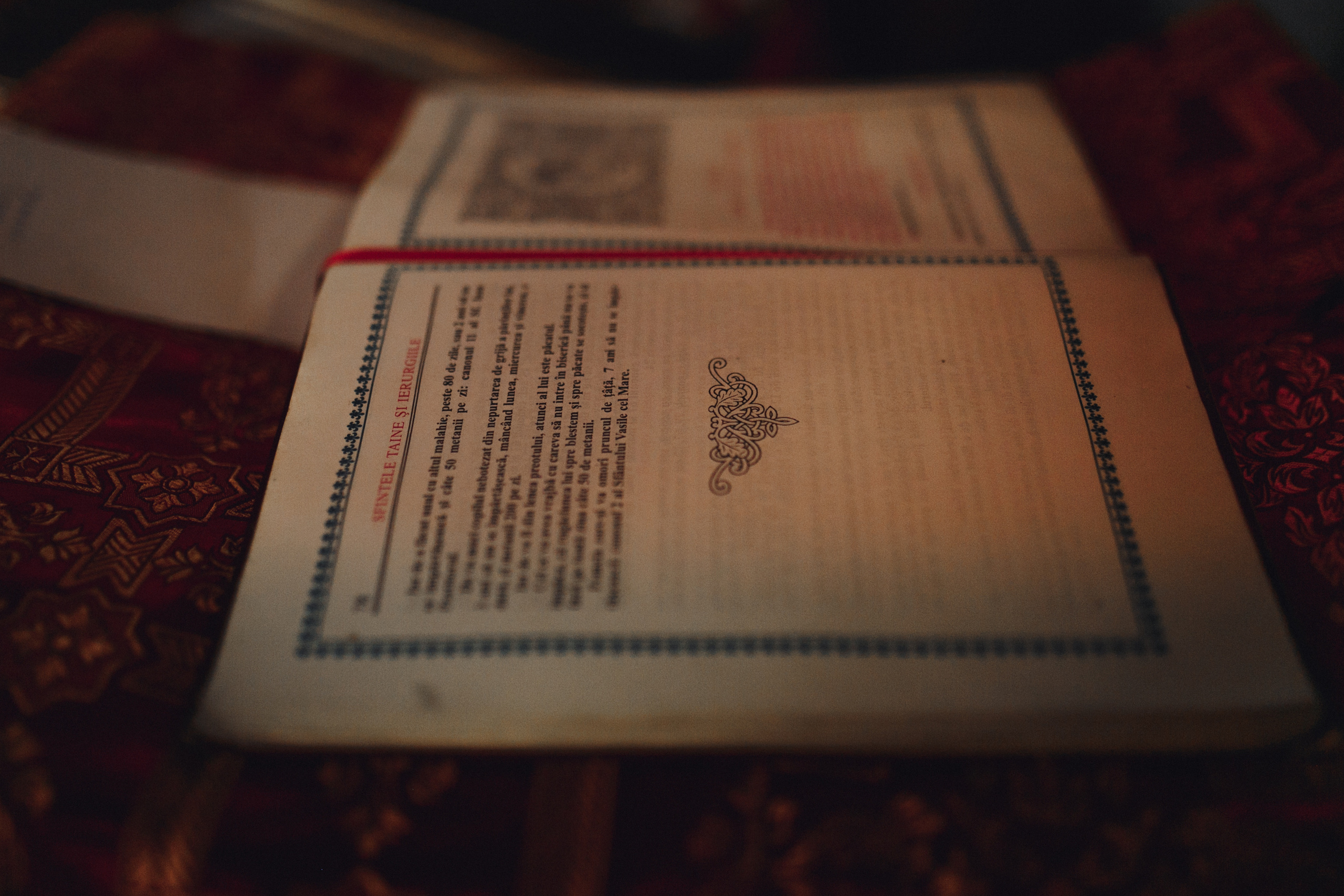 Victor & Veronica. Wedding photographer