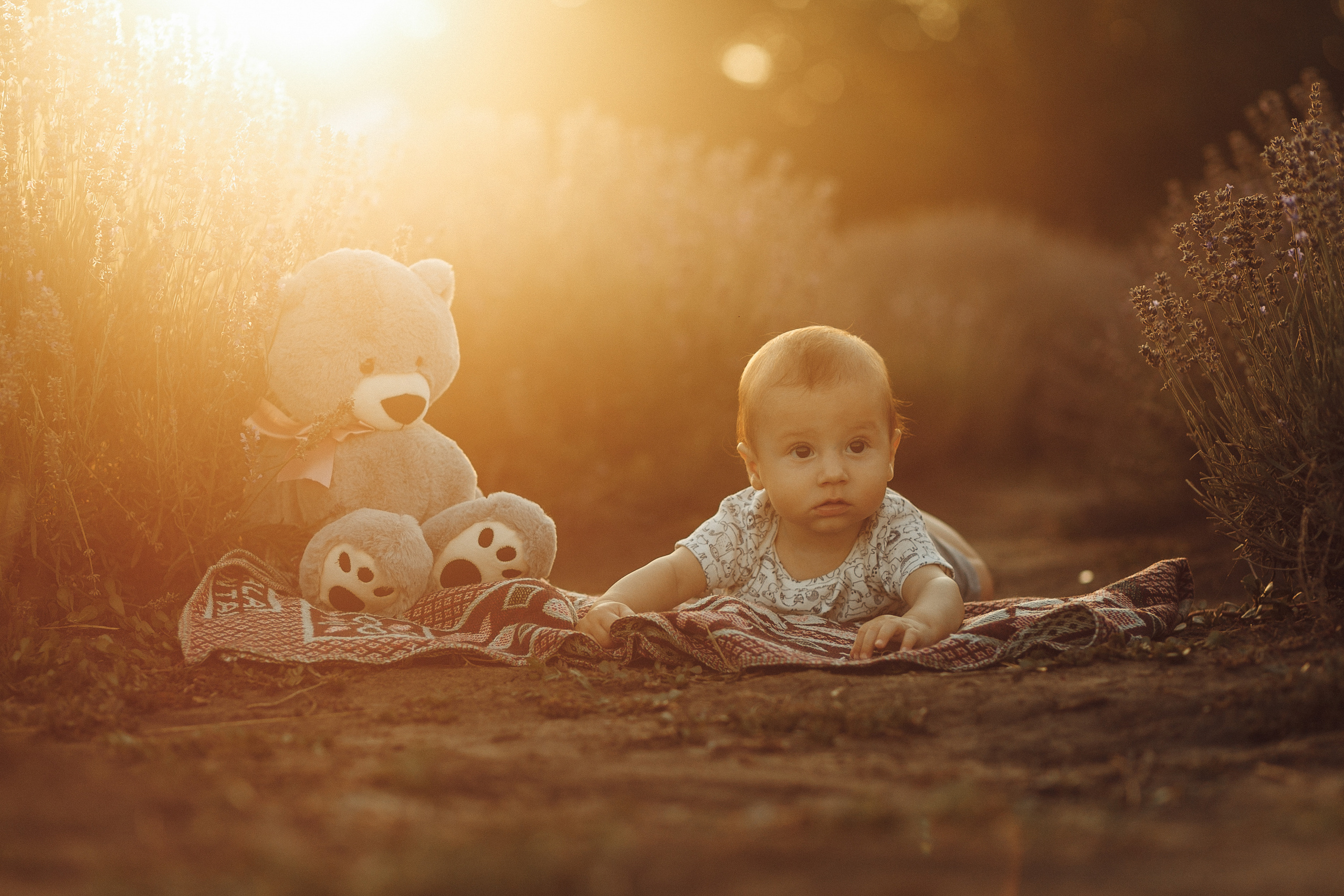 Tatiana & Sergiu. Wedding photographer