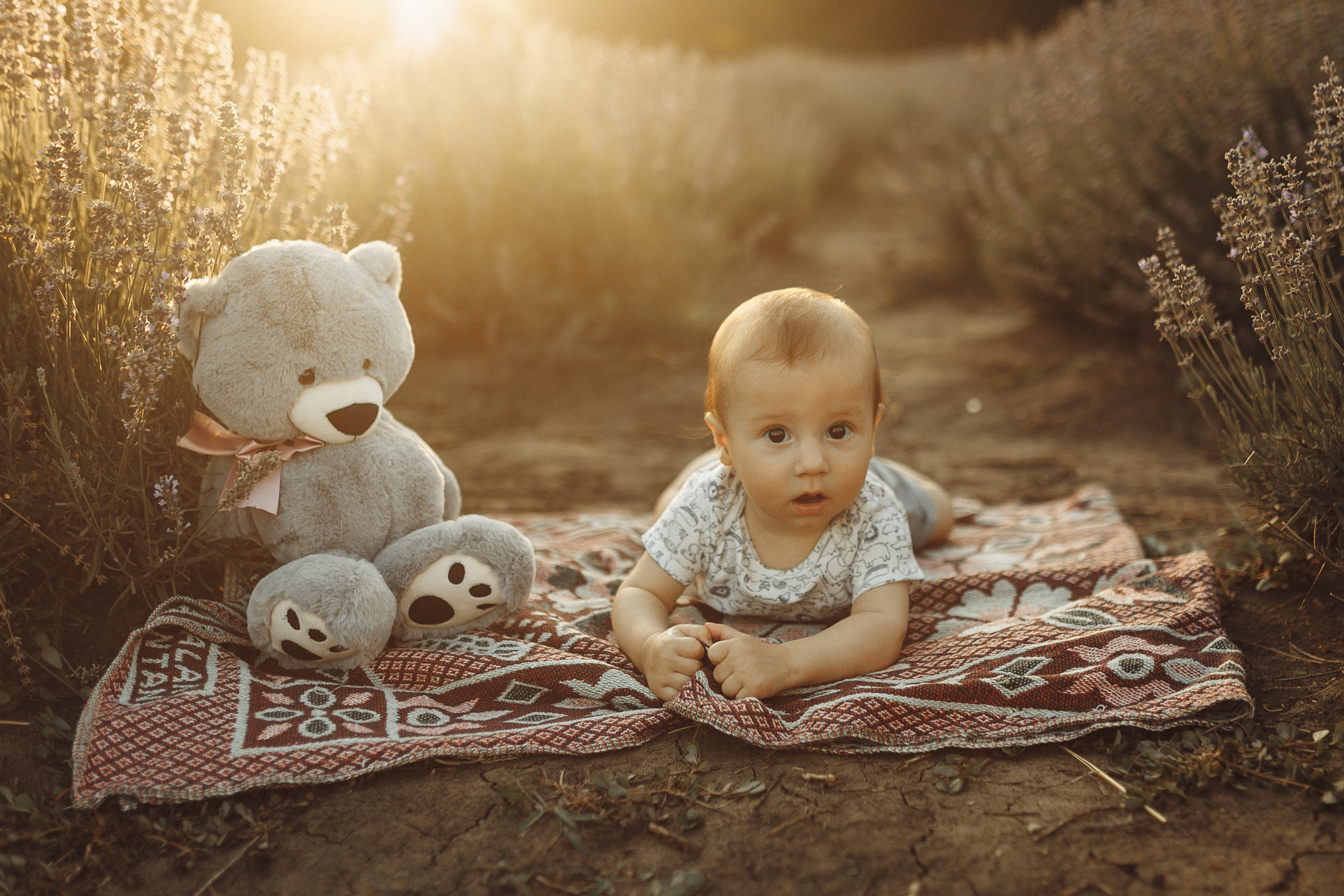 Tatiana & Sergiu. Wedding photographer