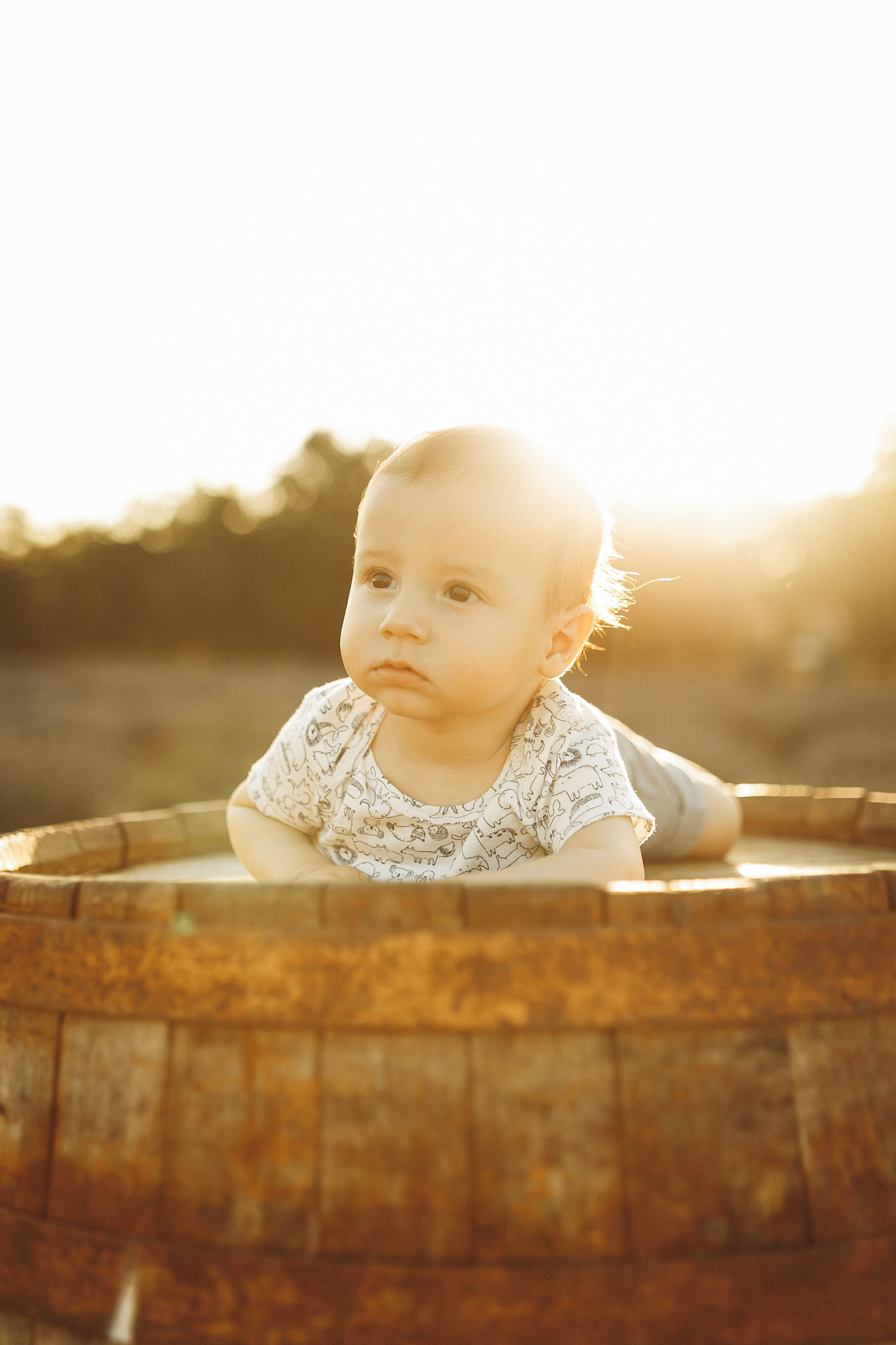 Tatiana & Sergiu. Wedding photographer