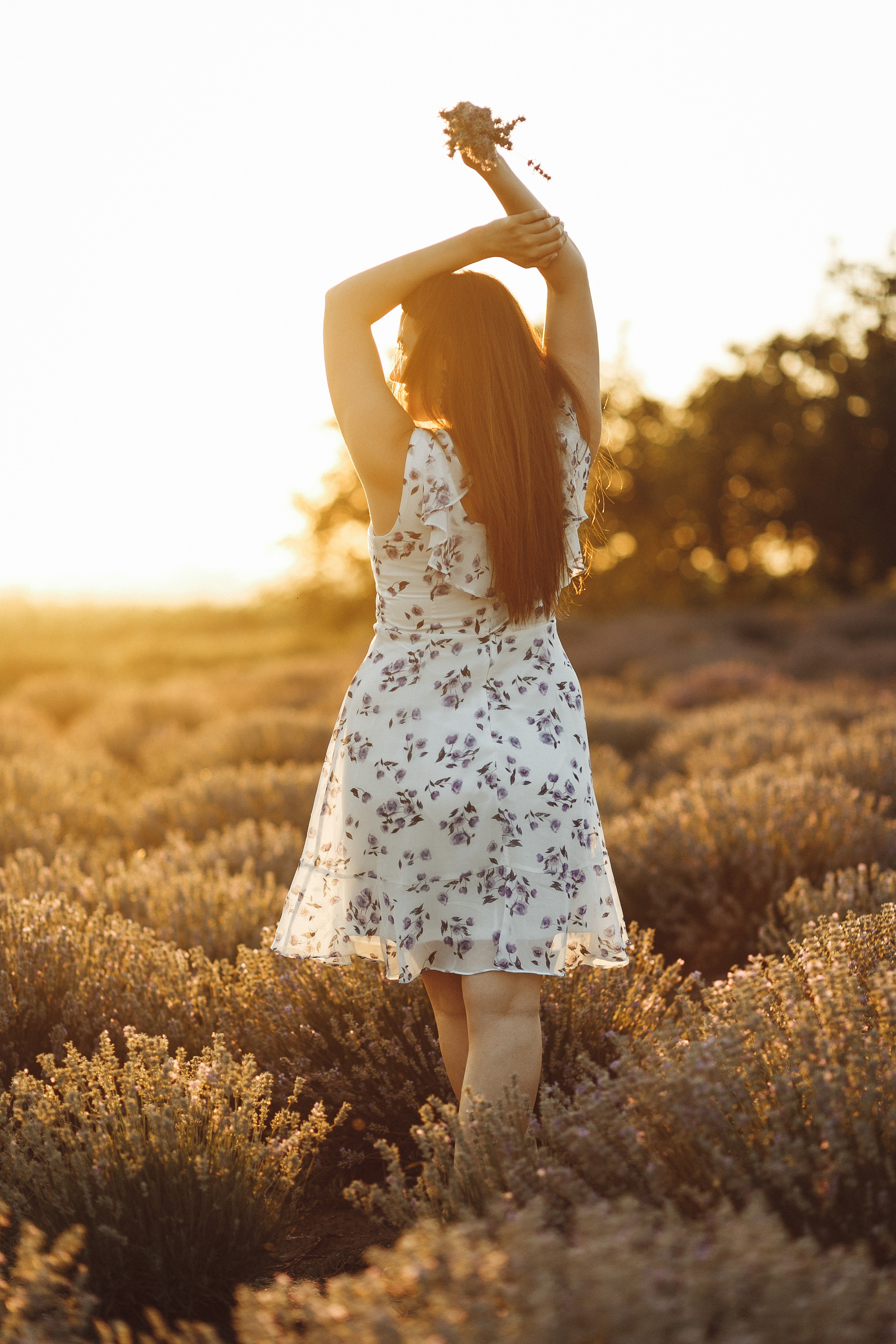 Tatiana & Sergiu. Wedding photographer
