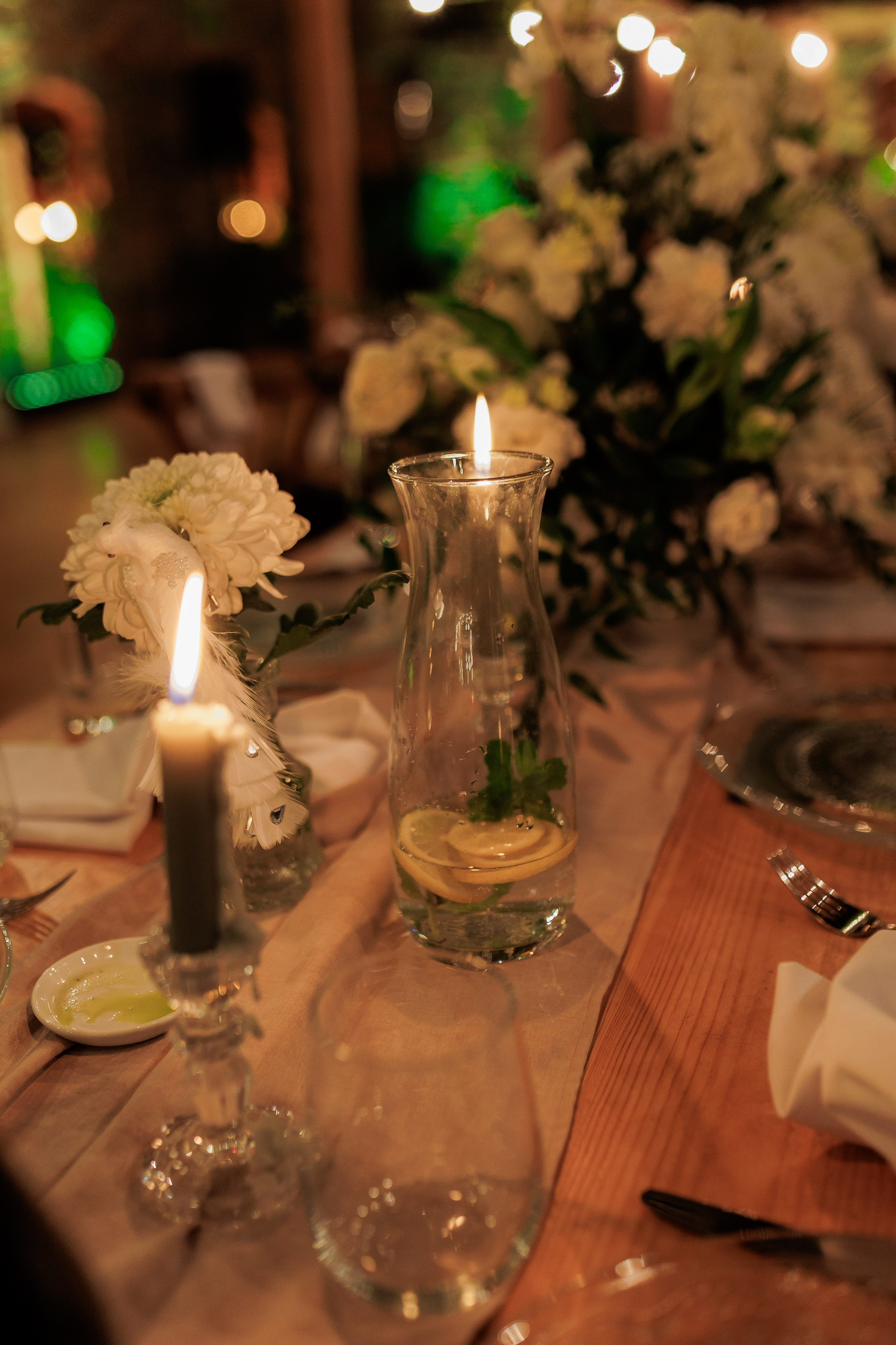 Bird. Fotograf Warszawa Brwinów Pruszków Grodzisk Piaseczno Otwock Legionowo