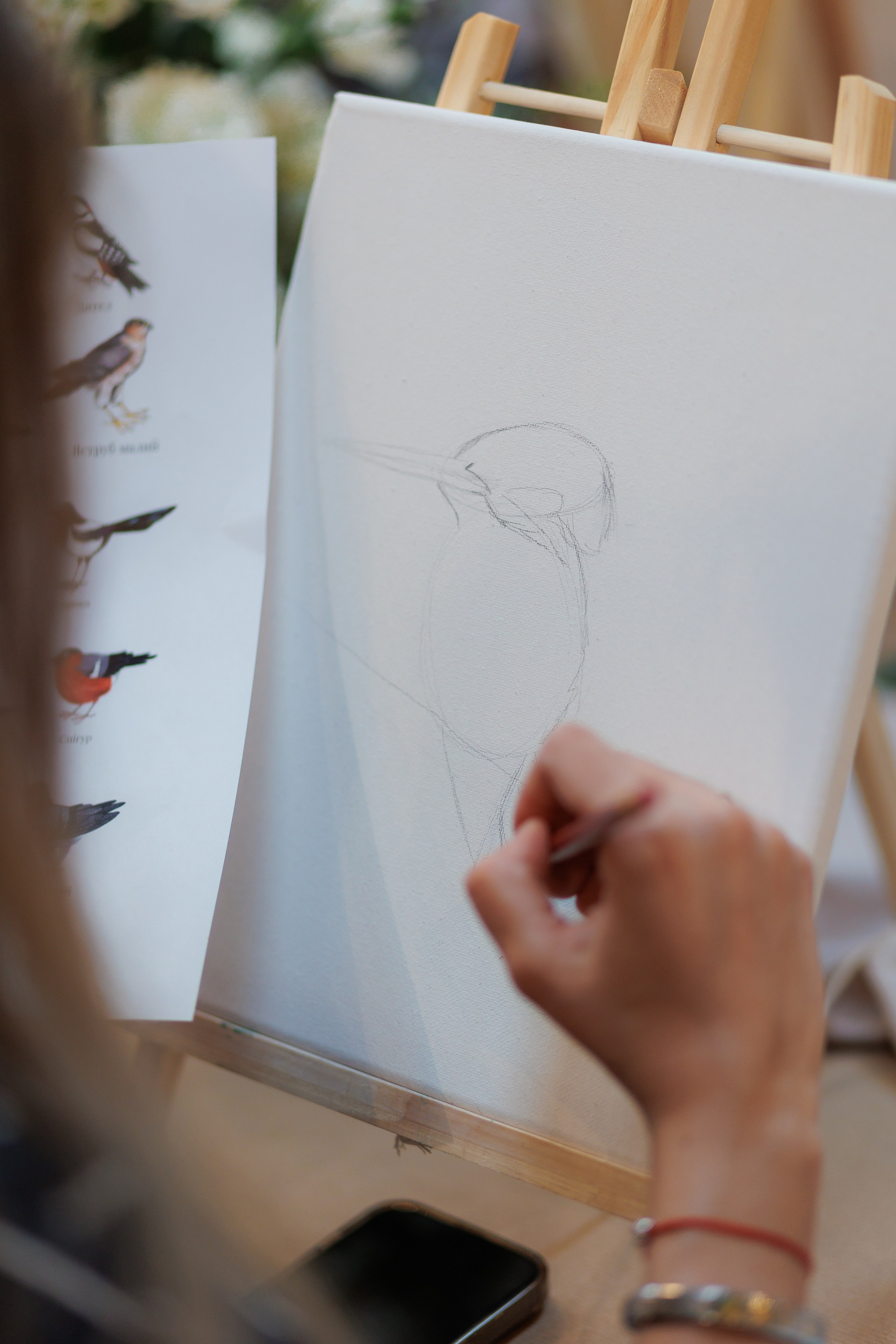 Bird. Fotograf Warszawa Brwinów Pruszków Grodzisk Piaseczno Otwock Legionowo