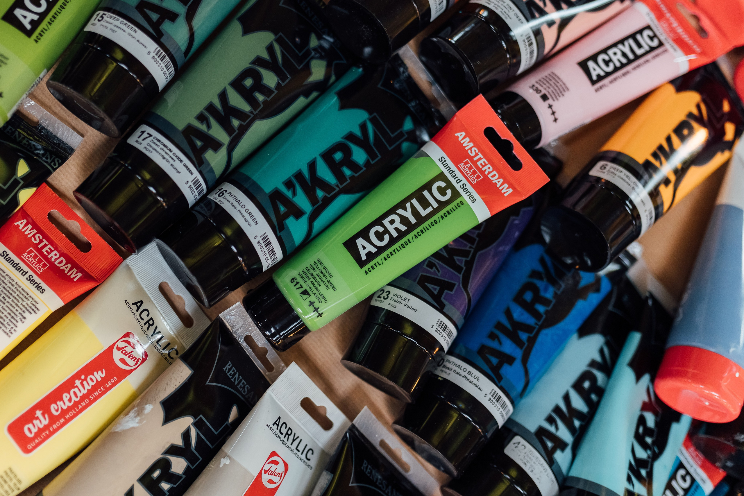 Bird. Fotograf Warszawa Brwinów Pruszków Grodzisk Piaseczno Otwock Legionowo