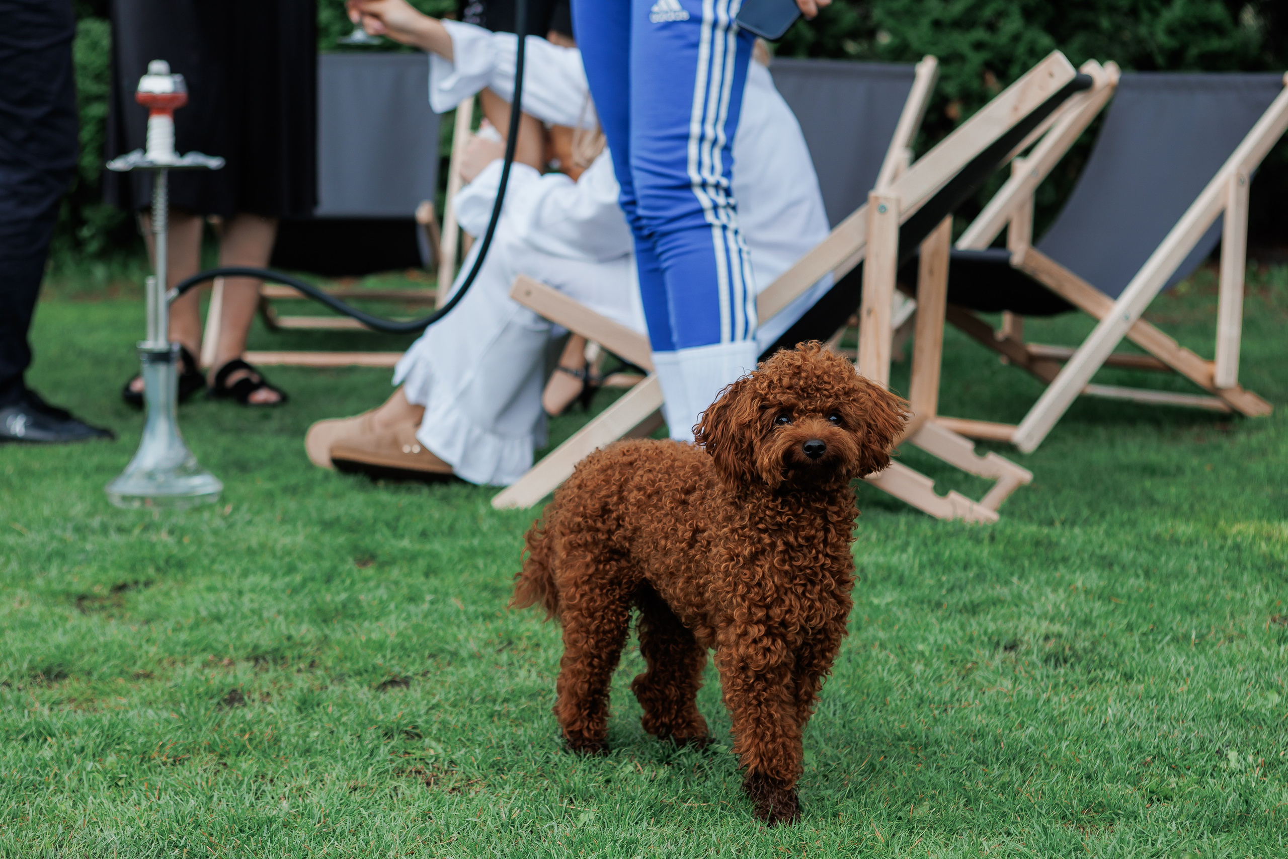 Eugen. Fotograf Warszawa Brwinów Pruszków Grodzisk Piaseczno Otwock Legionowo