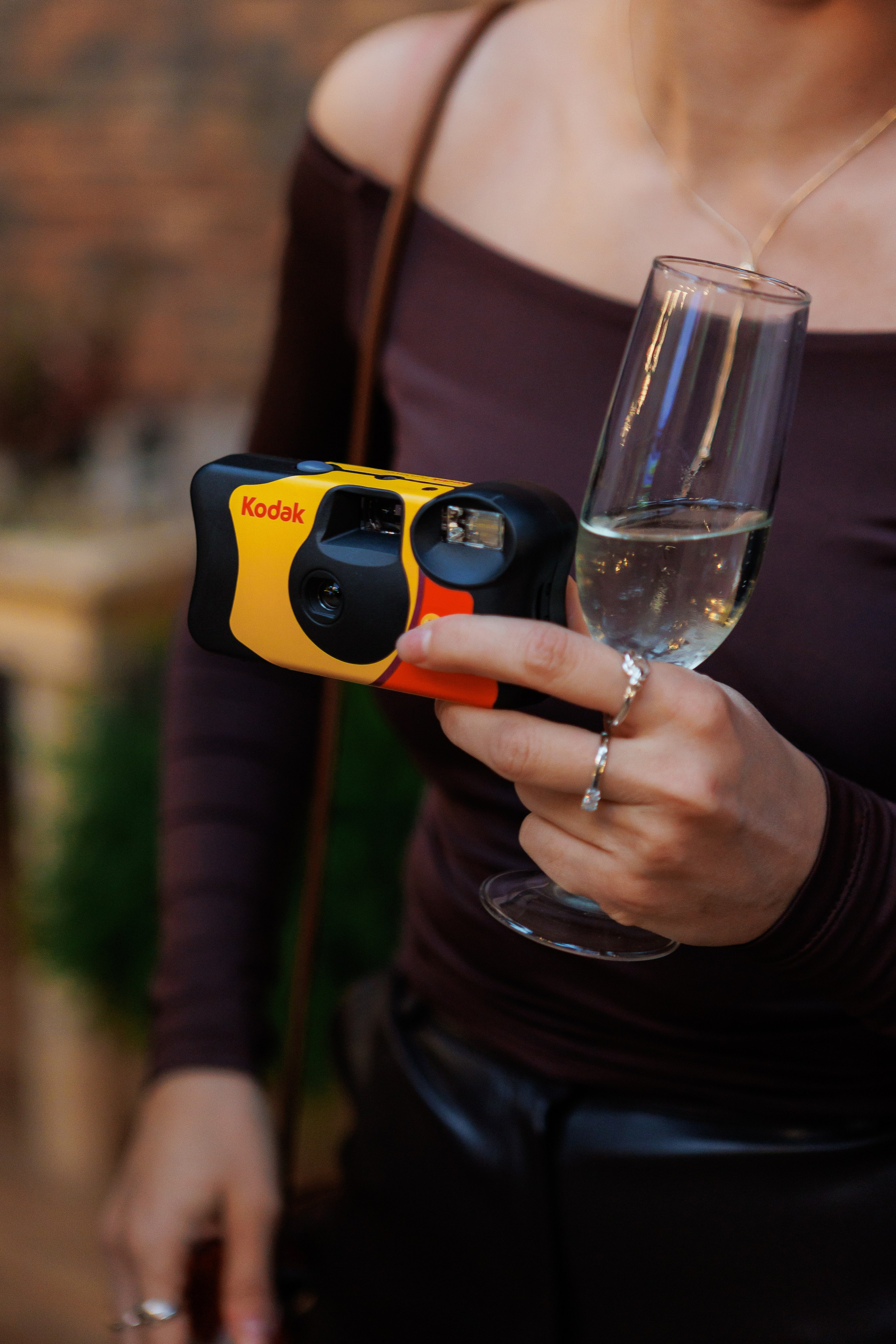 Bird. Fotograf Warszawa Brwinów Pruszków Grodzisk Piaseczno Otwock Legionowo