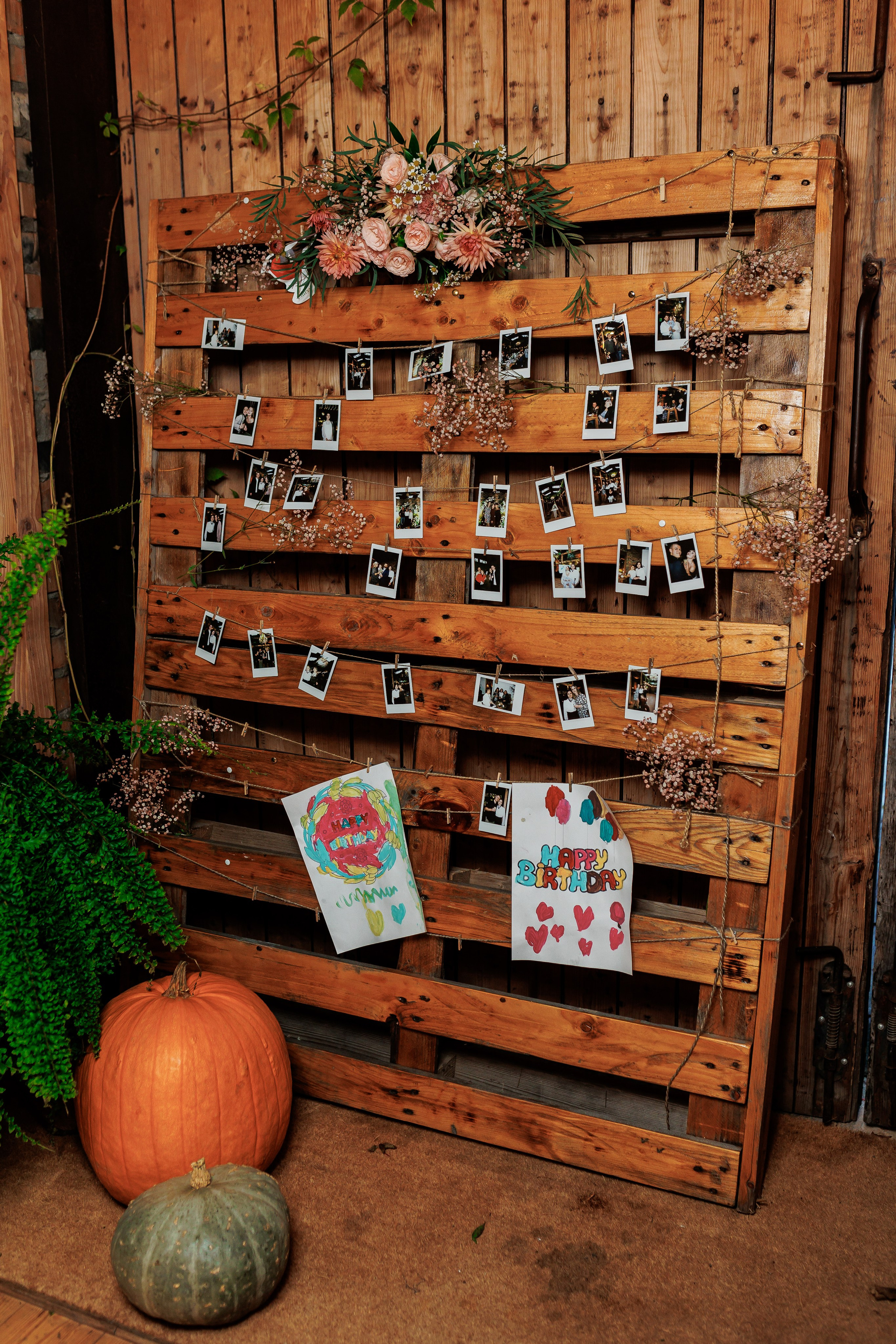 Bird. Fotograf Warszawa Brwinów Pruszków Grodzisk Piaseczno Otwock Legionowo