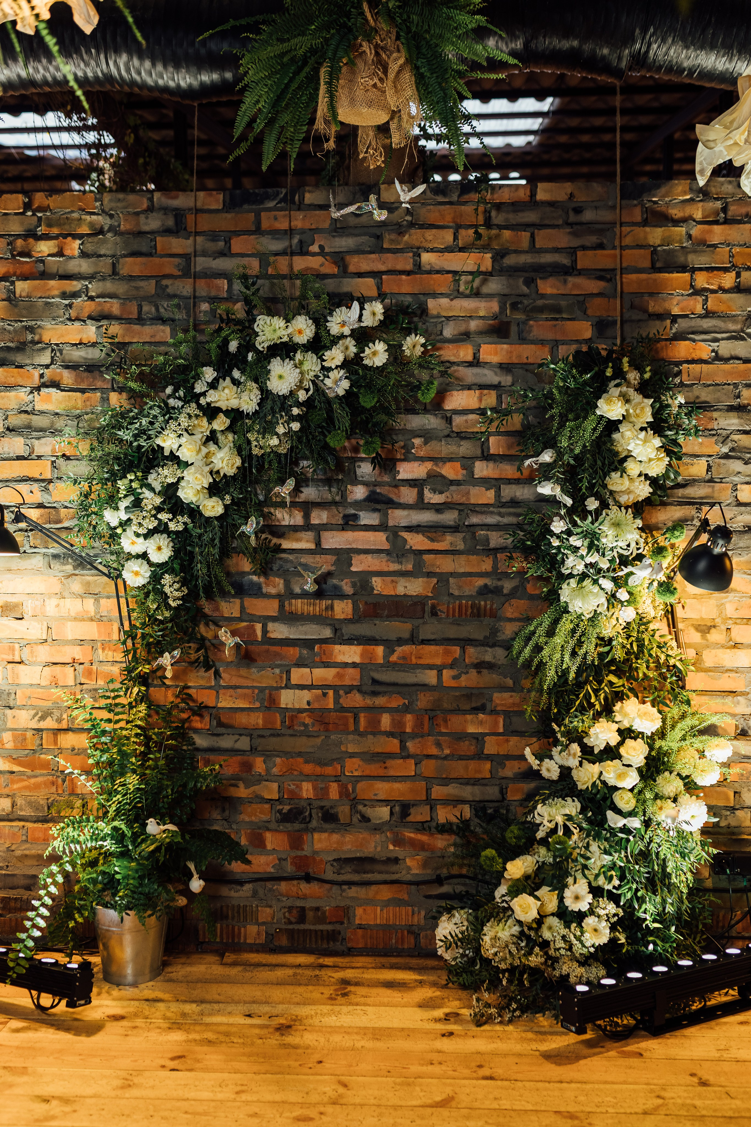 Bird. Fotograf Warszawa Brwinów Pruszków Grodzisk Piaseczno Otwock Legionowo