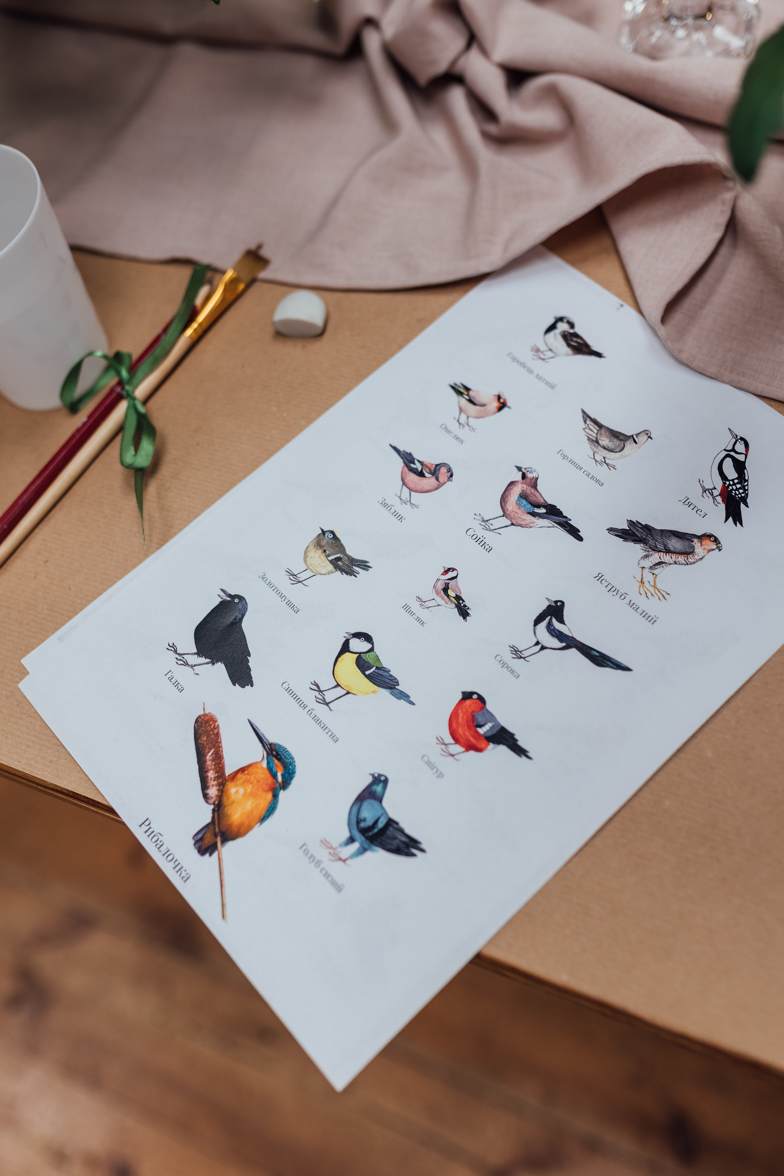 Bird. Fotograf Warszawa Brwinów Pruszków Grodzisk Piaseczno Otwock Legionowo